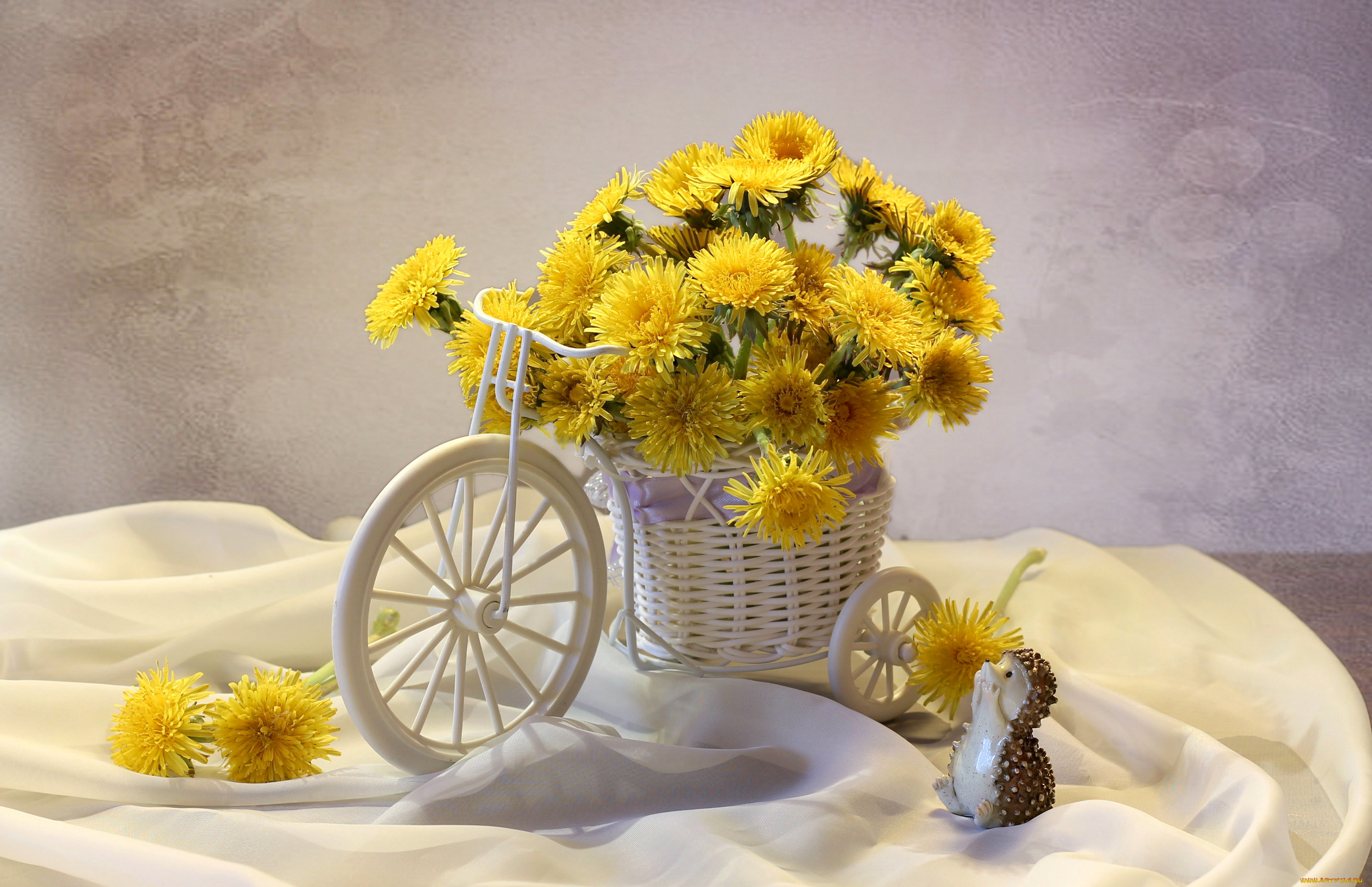 цветы, одуванчики, желтый, ежик, тачка