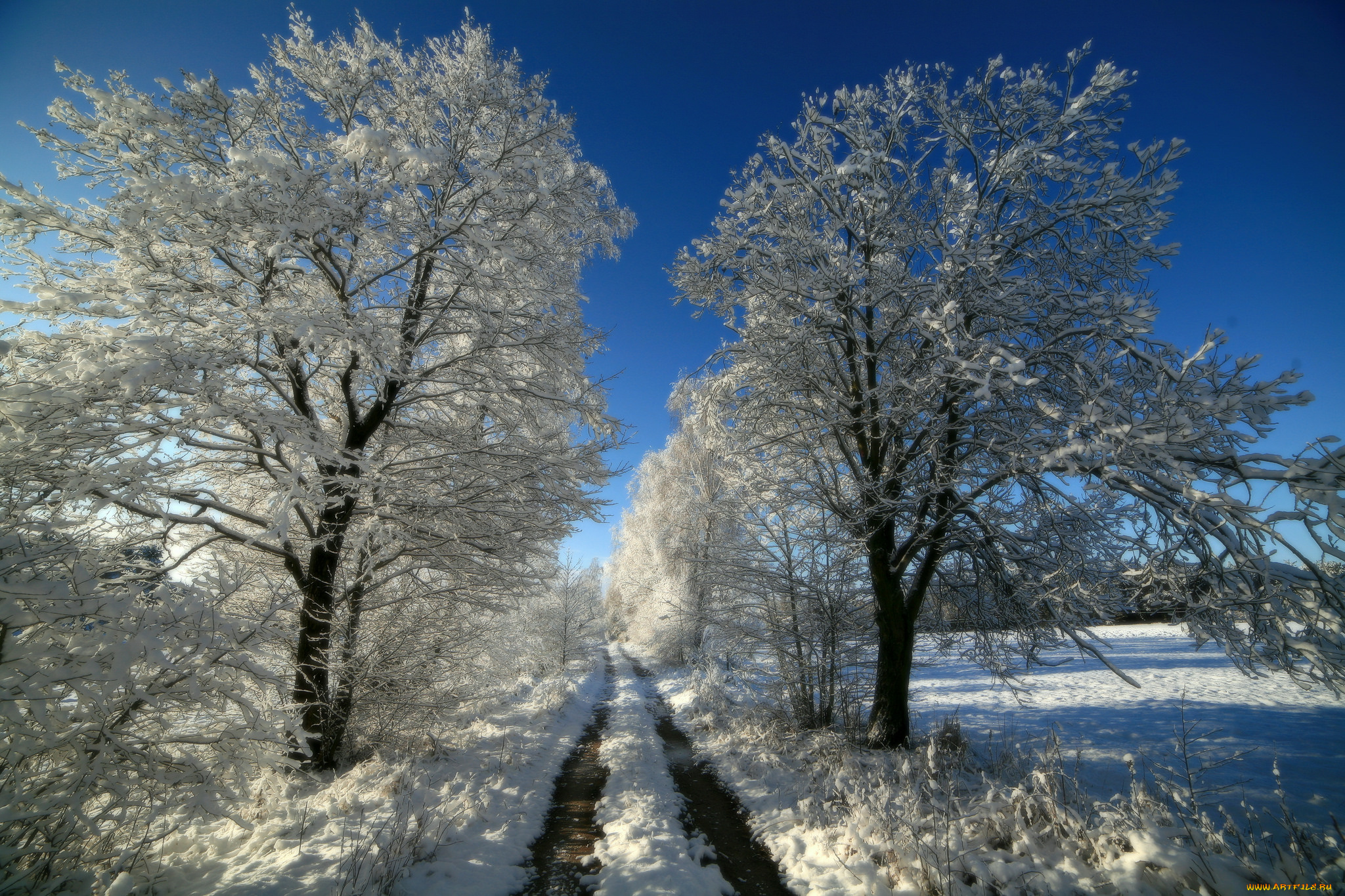 природа, зима, снег