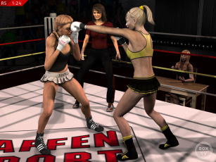 Картинка 3д+графика спорт+ sport взгляд бокс фон ринг девушки