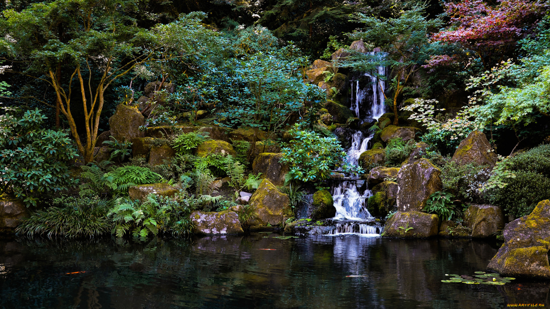 japanese, garden, природа, парк, деревья, пруд, камни, водопад, Японский, сад