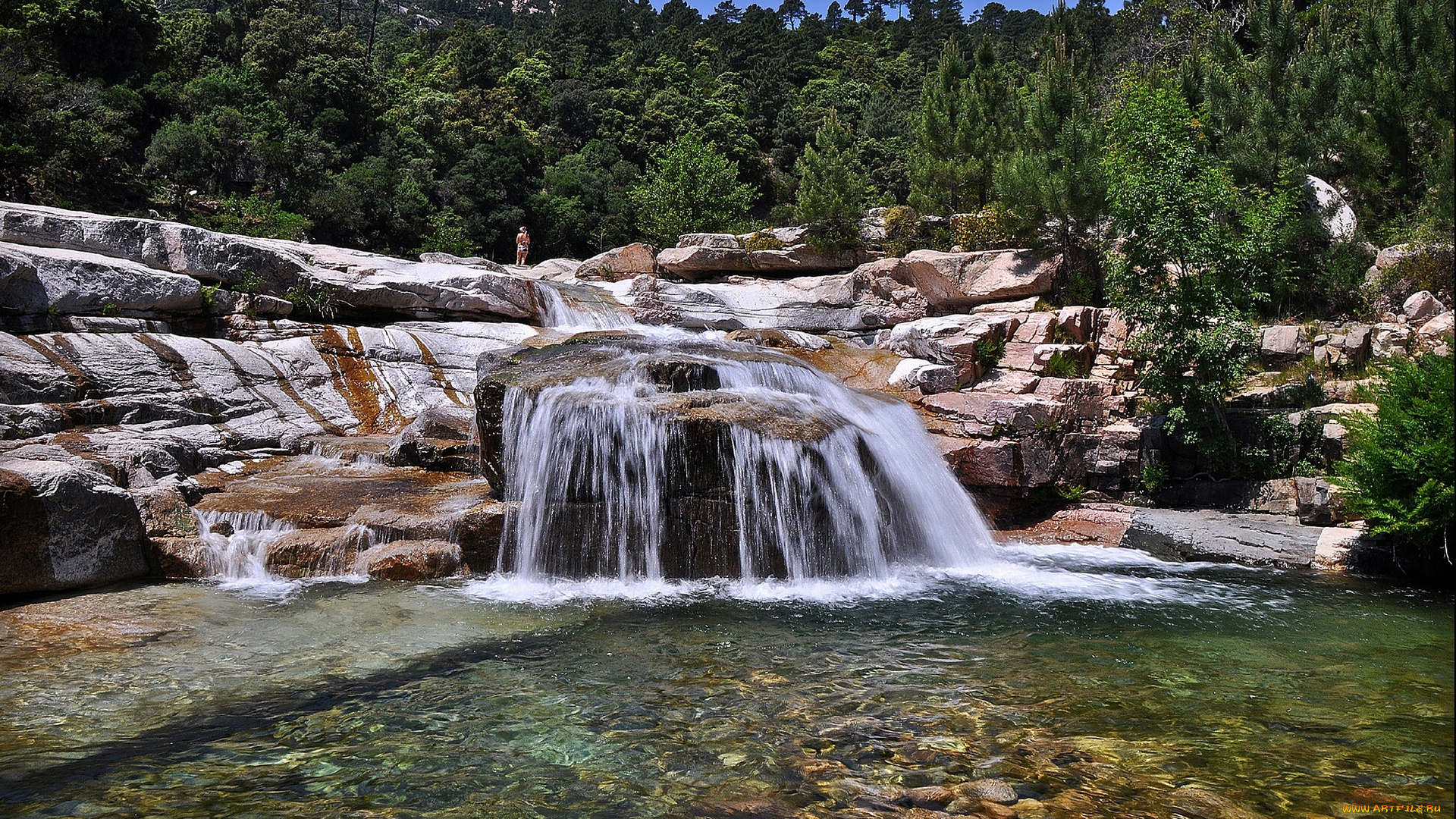 озеро, камни, лес, дно, природа, водопады, palavese, corsica, france, палавез, корсика, франция