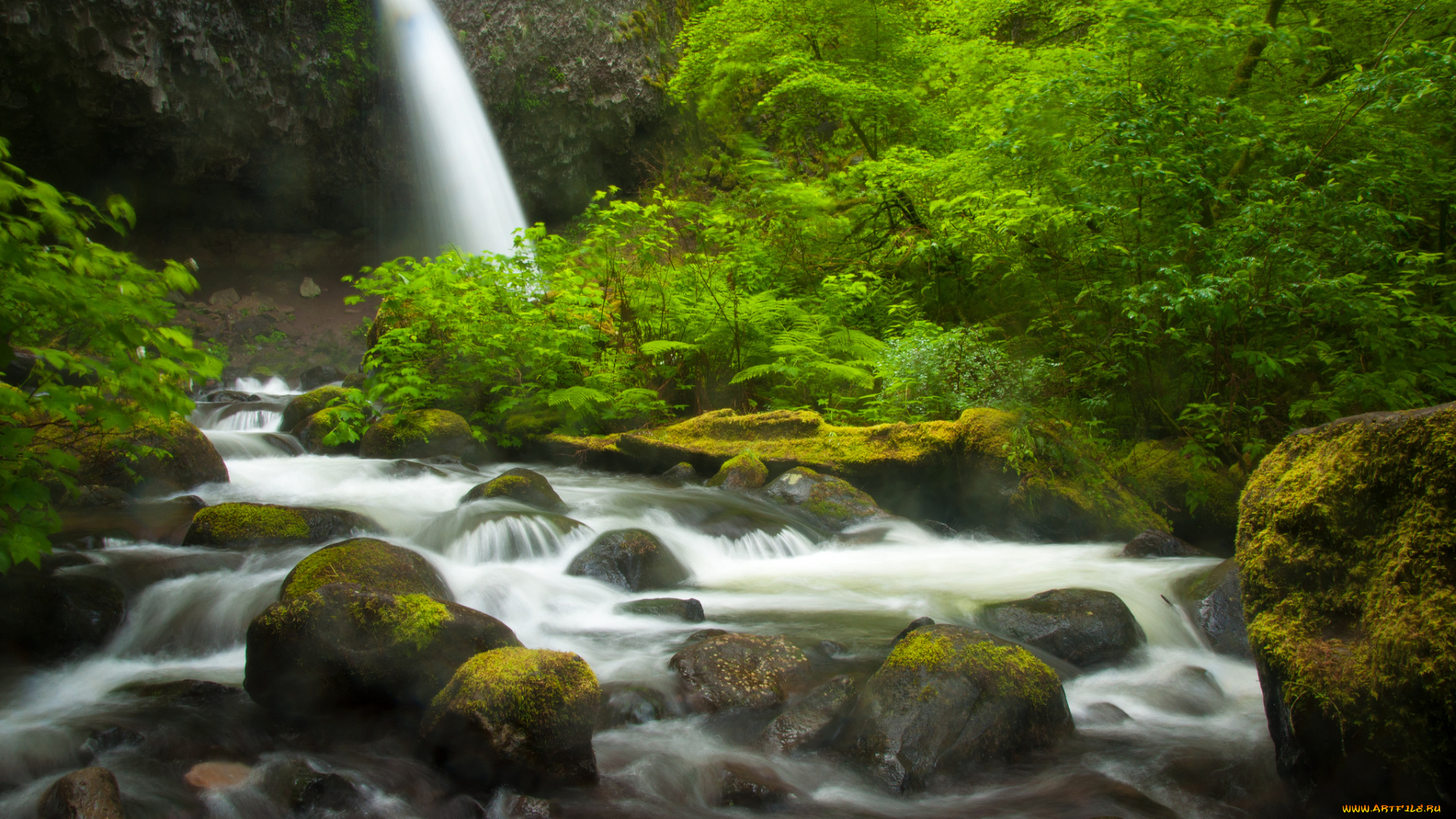 природа, водопады, поток, вода, камни, мох, ponytail, falls, columbia, river, gorge, oregon