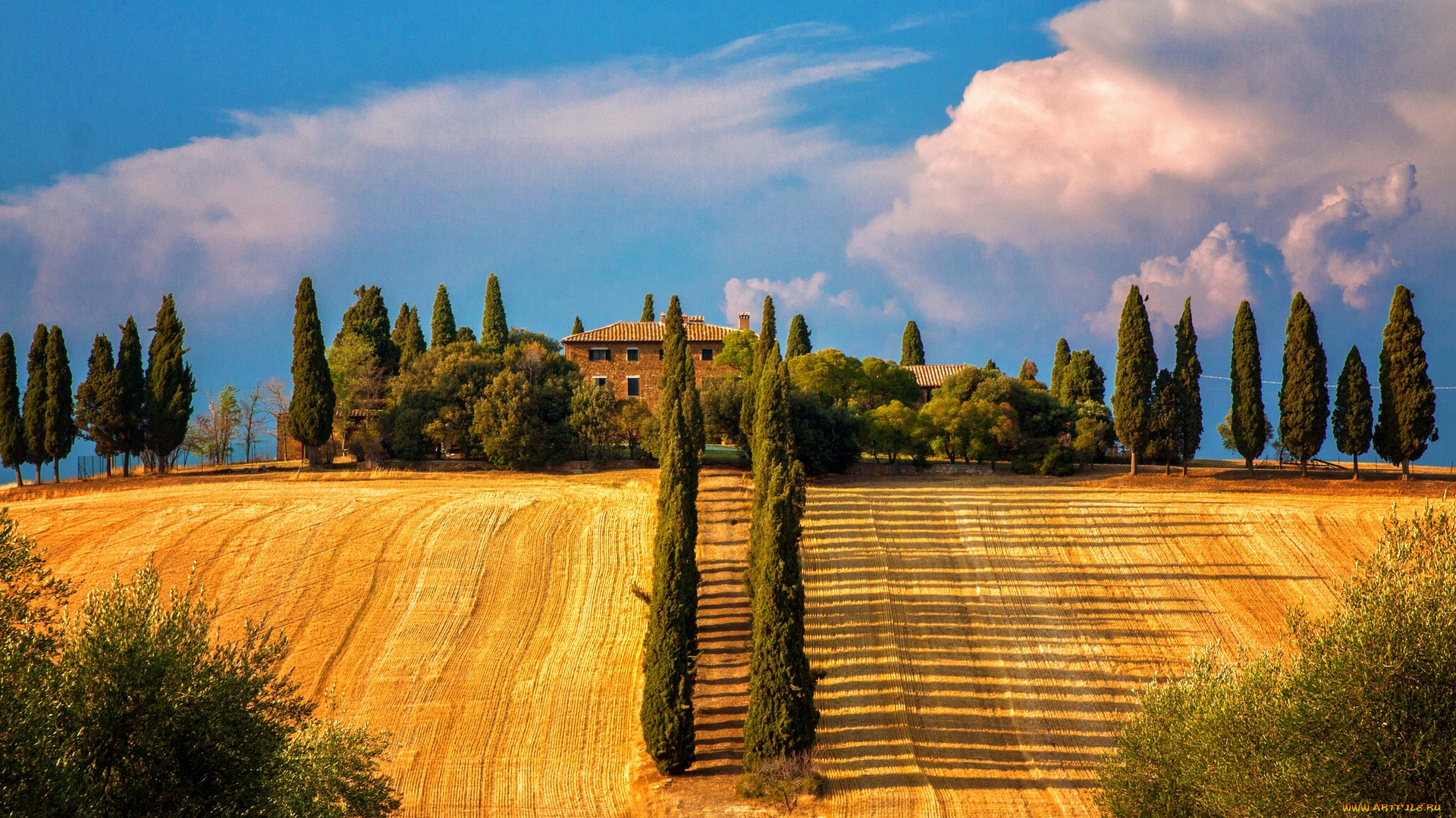 sienna, tuscany, italy, природа, поля, сиена, тоскана, италия, деревья, кипарисы, пейзаж