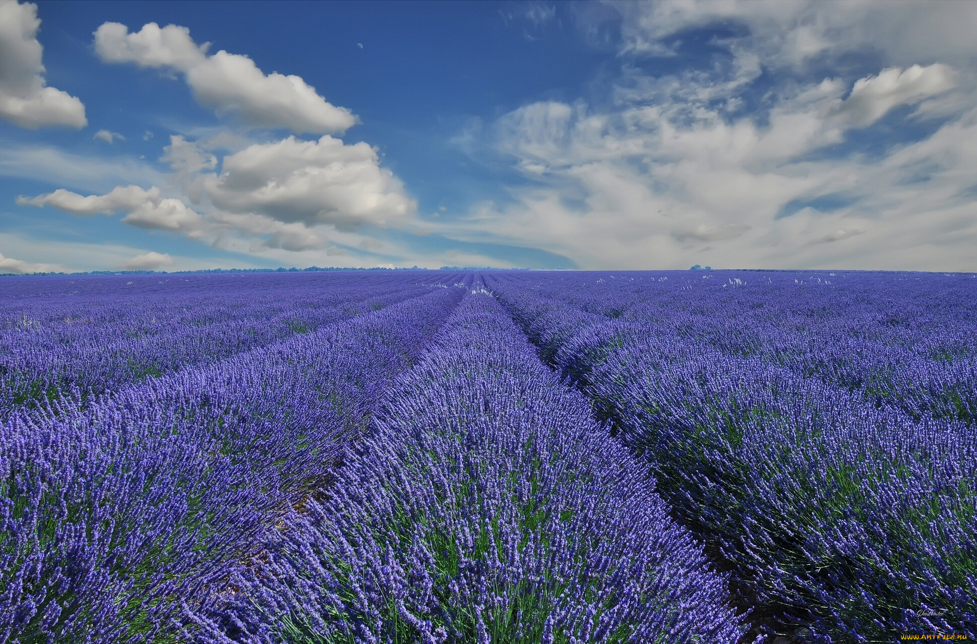 provence, france, природа, поля, лаванда, франция, прованс, облака