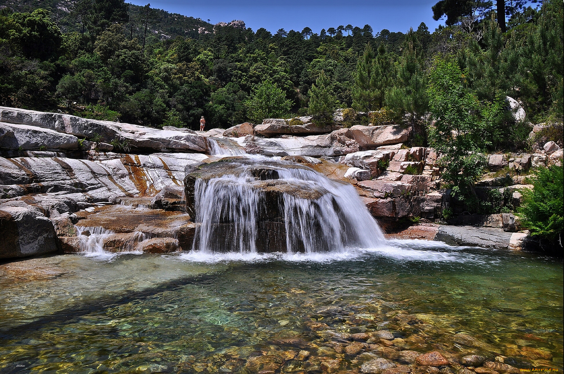 озеро, камни, лес, дно, природа, водопады, palavese, corsica, france, палавез, корсика, франция