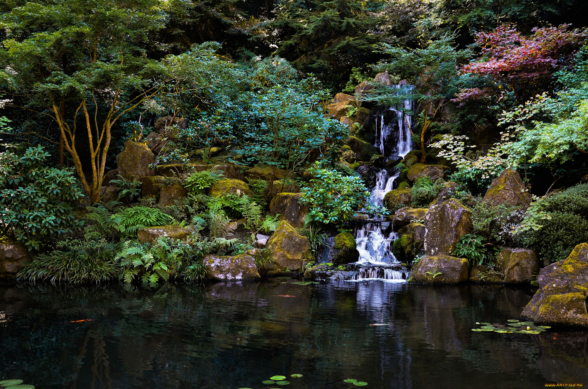 japanese, garden, природа, парк, деревья, пруд, камни, водопад, Японский, сад