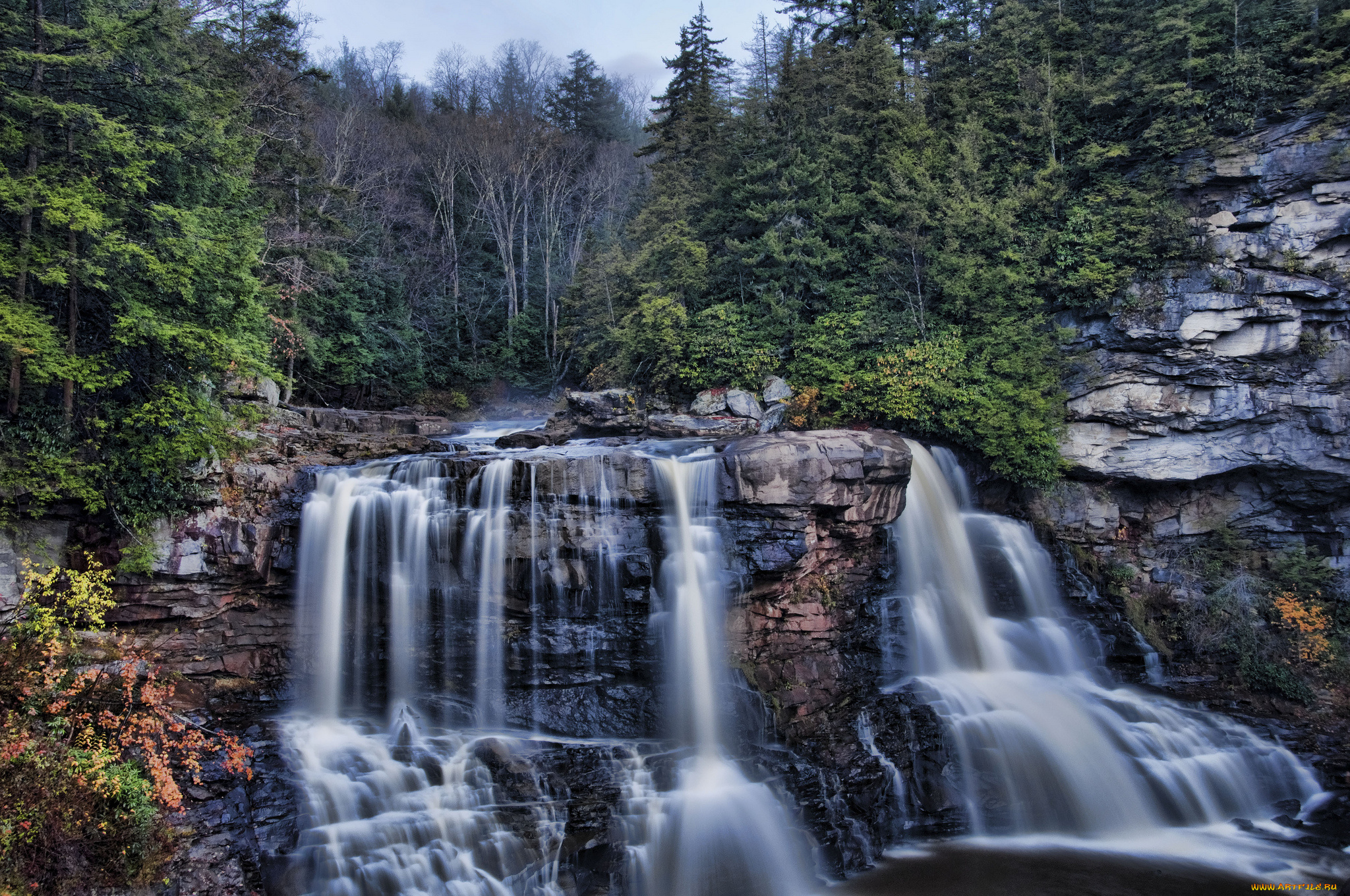 blackwater, falls, west, virginia, природа, водопады, лес, скалы, каскад, блэкуотер, западная, вирджиния