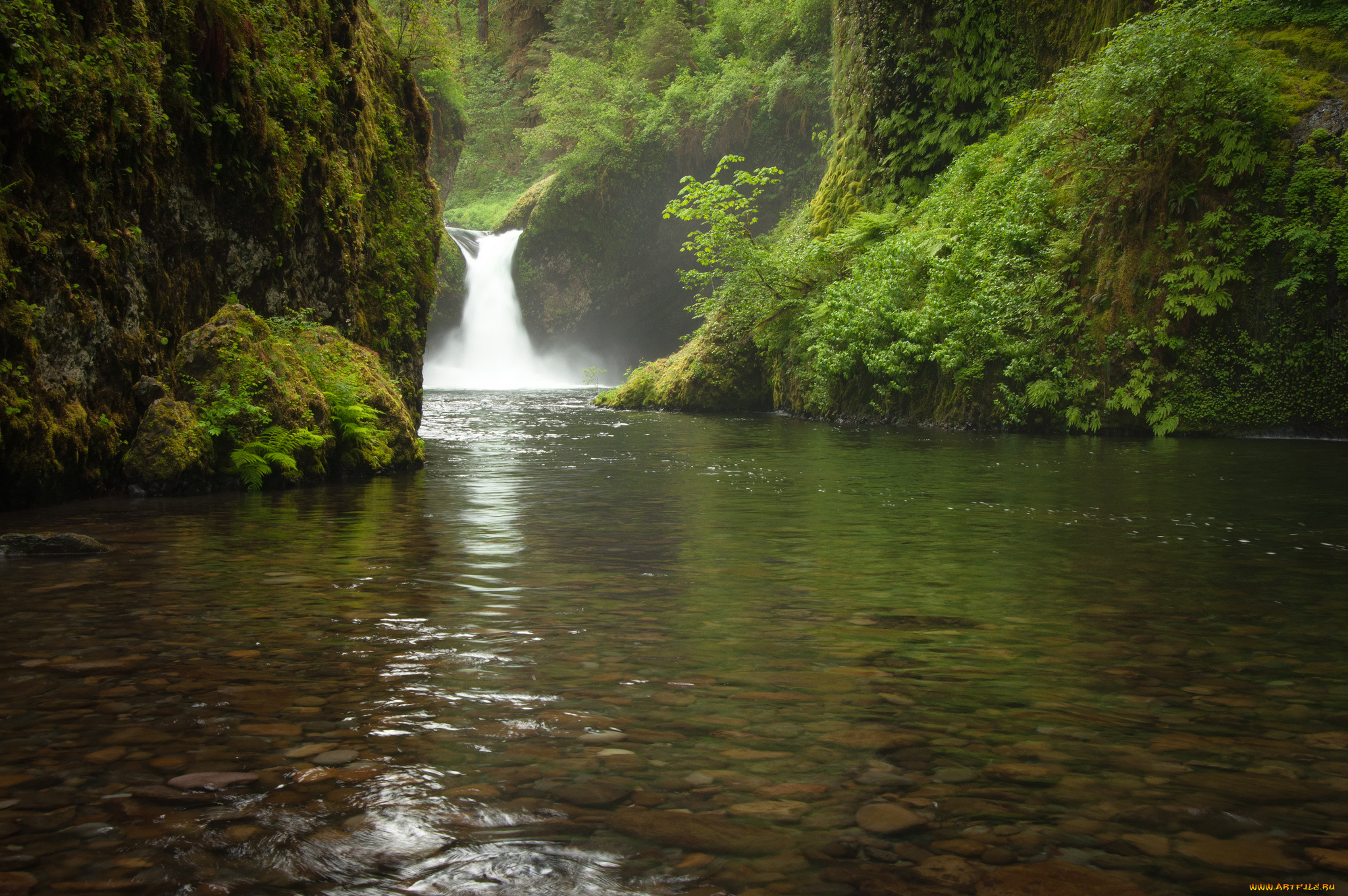 природа, водопады, зелень, вода, поток