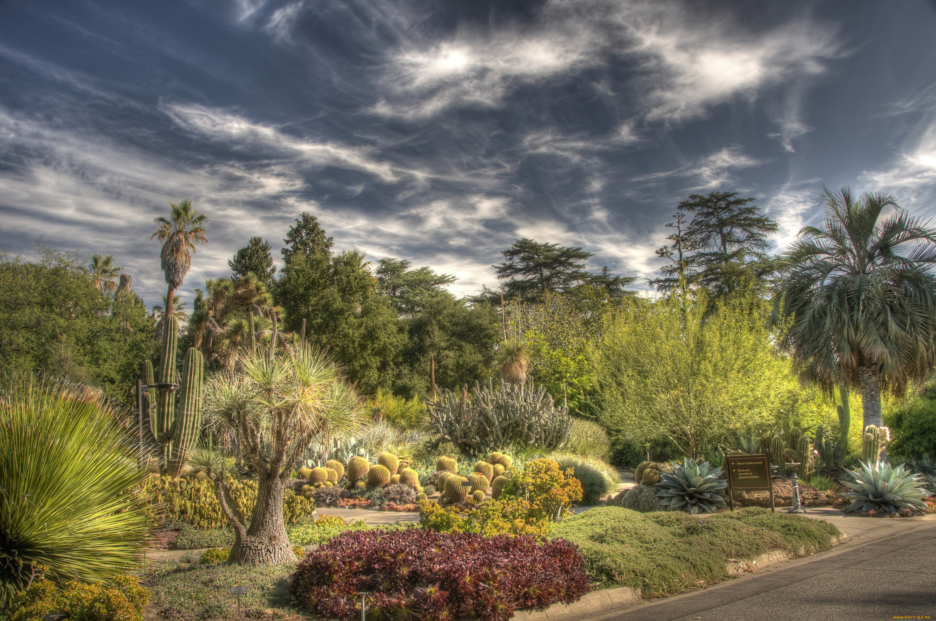 botanical, garden, san, marino, california, природа, парк, кактусы, ботанический, сад