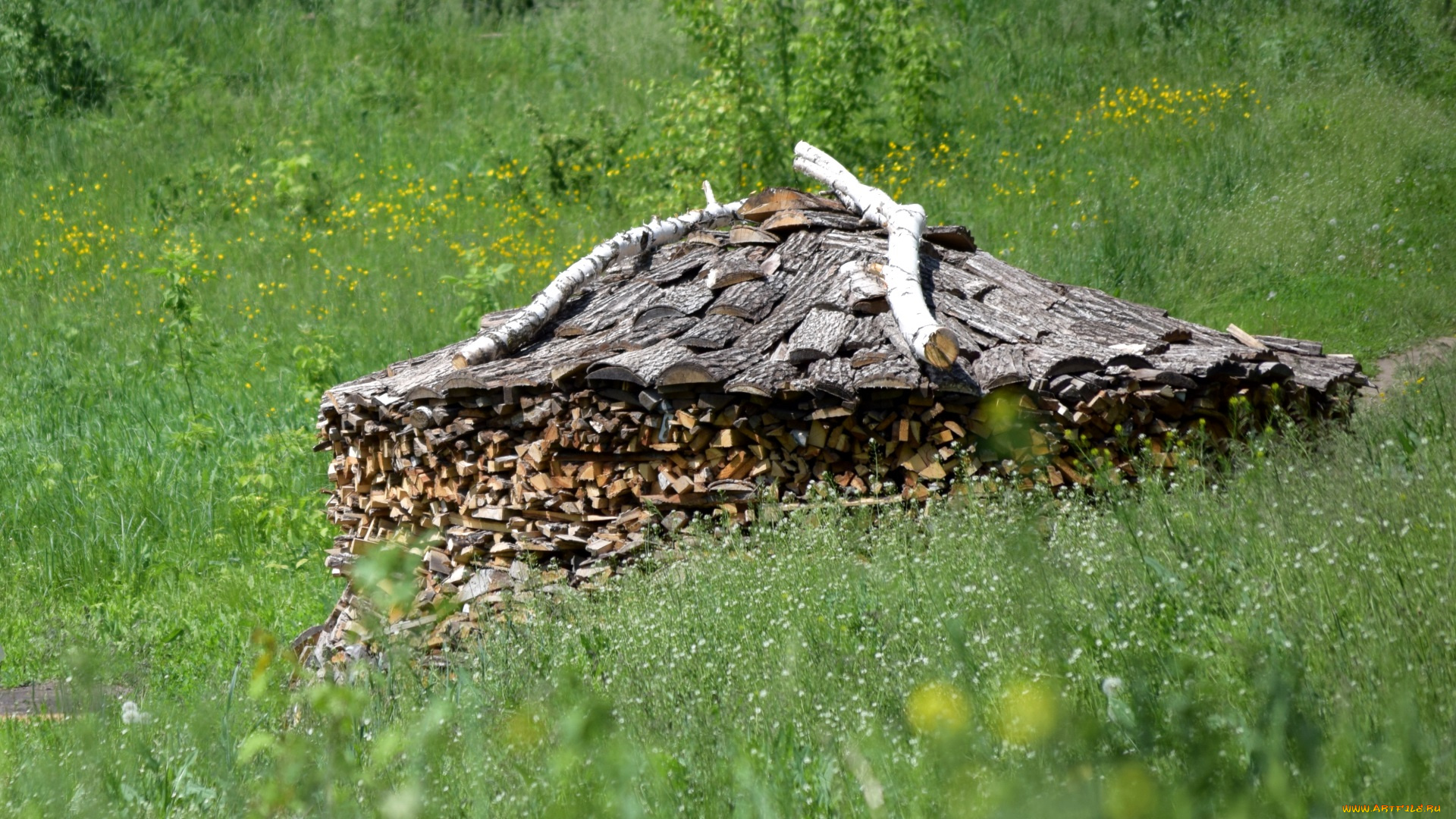 природа, луга, цветы, дрова, полено