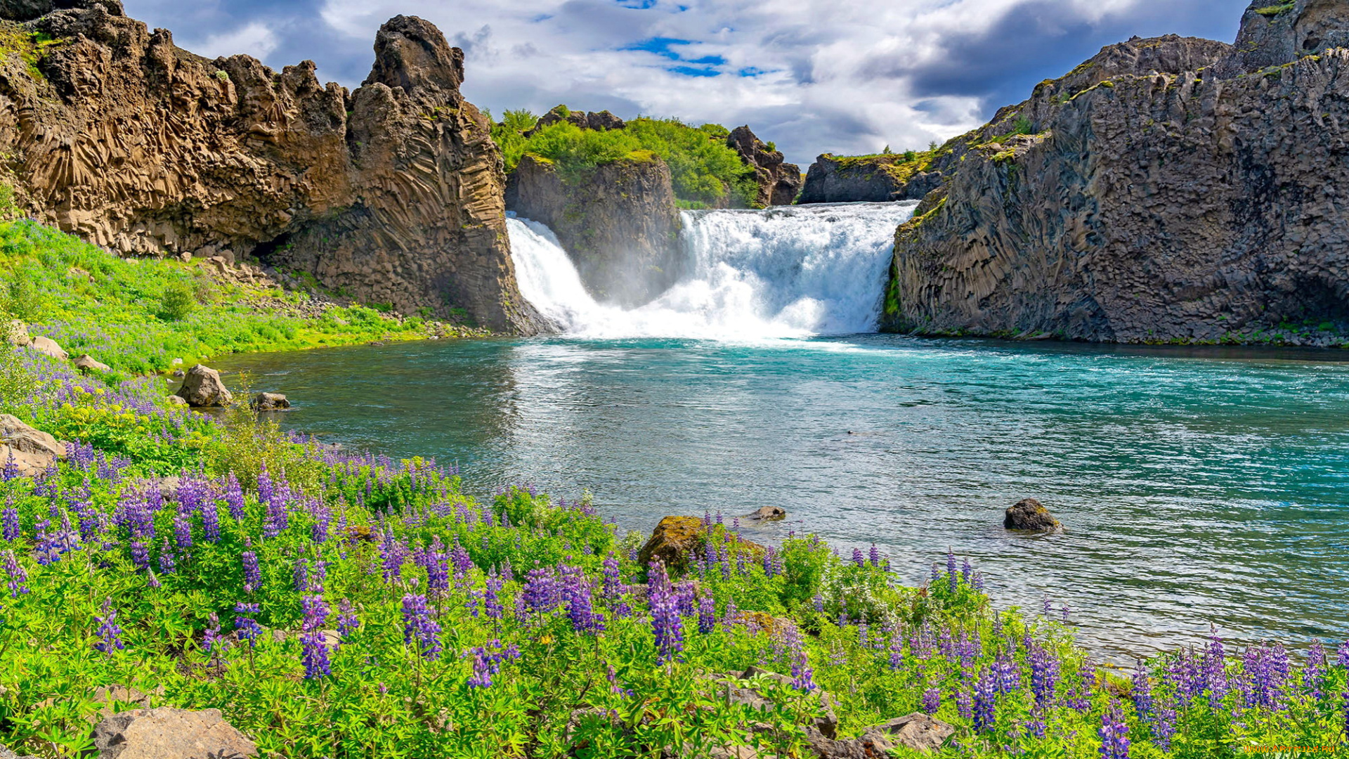 природа, водопады, цветы, водопад, скалы