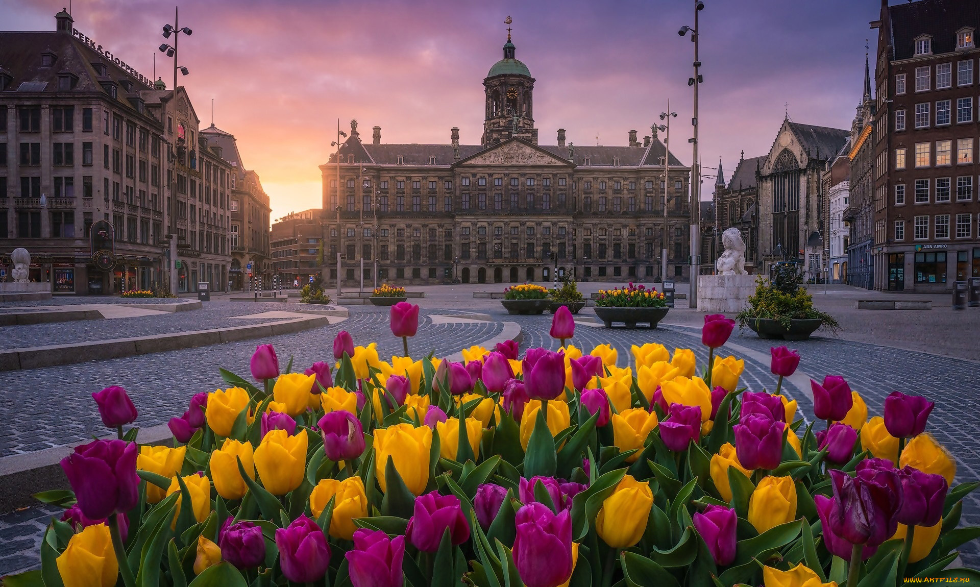 города, амстердам, , нидерланды, площадь, цветы, тюльпаны