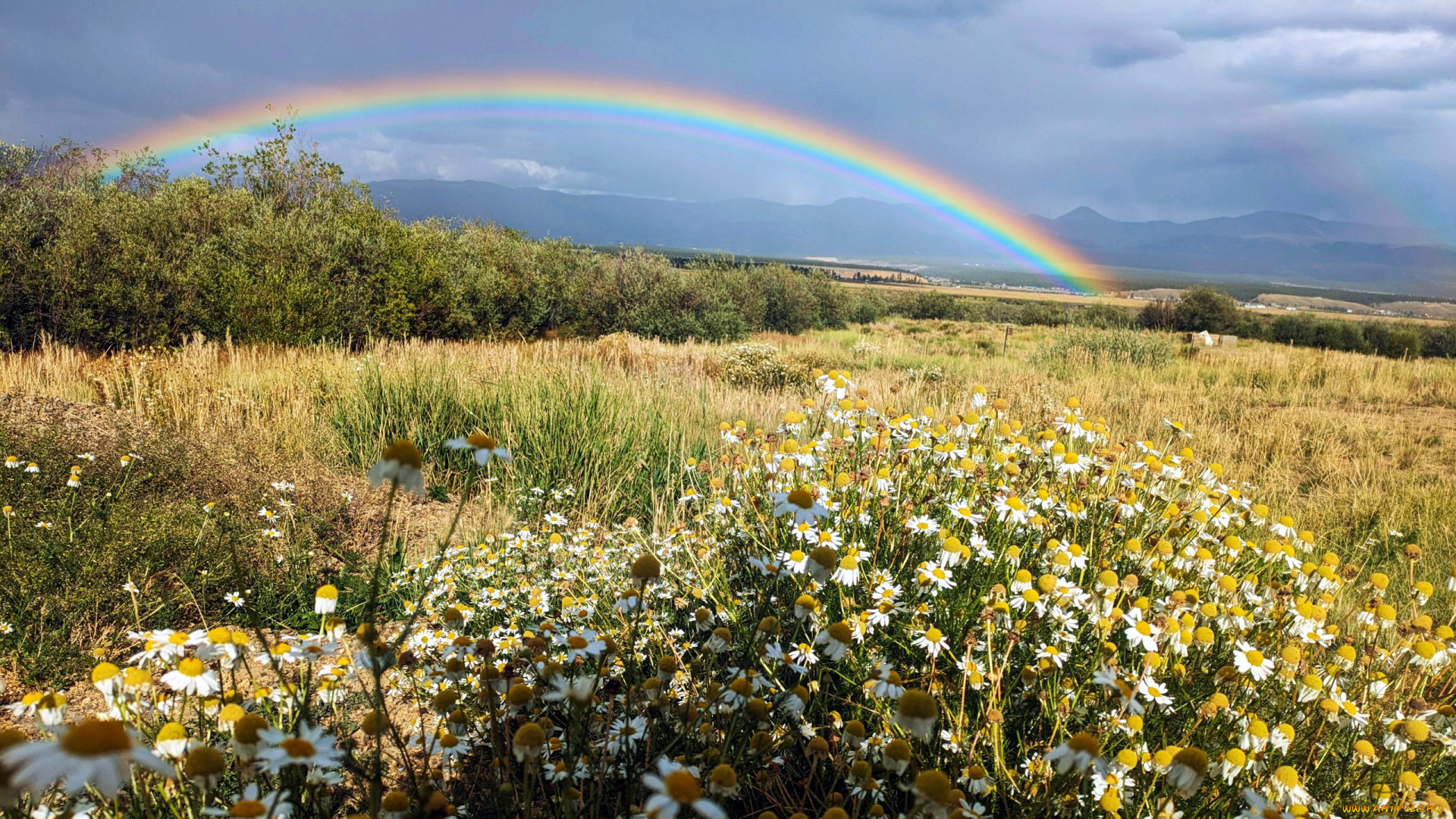 rainbow, outside, leadville, colorado, природа, радуга, rainbow, outside, leadville