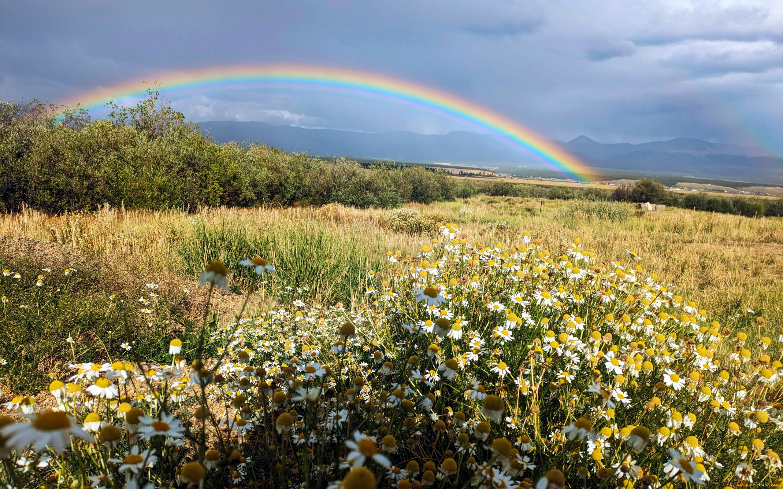 rainbow, outside, leadville, colorado, природа, радуга, rainbow, outside, leadville