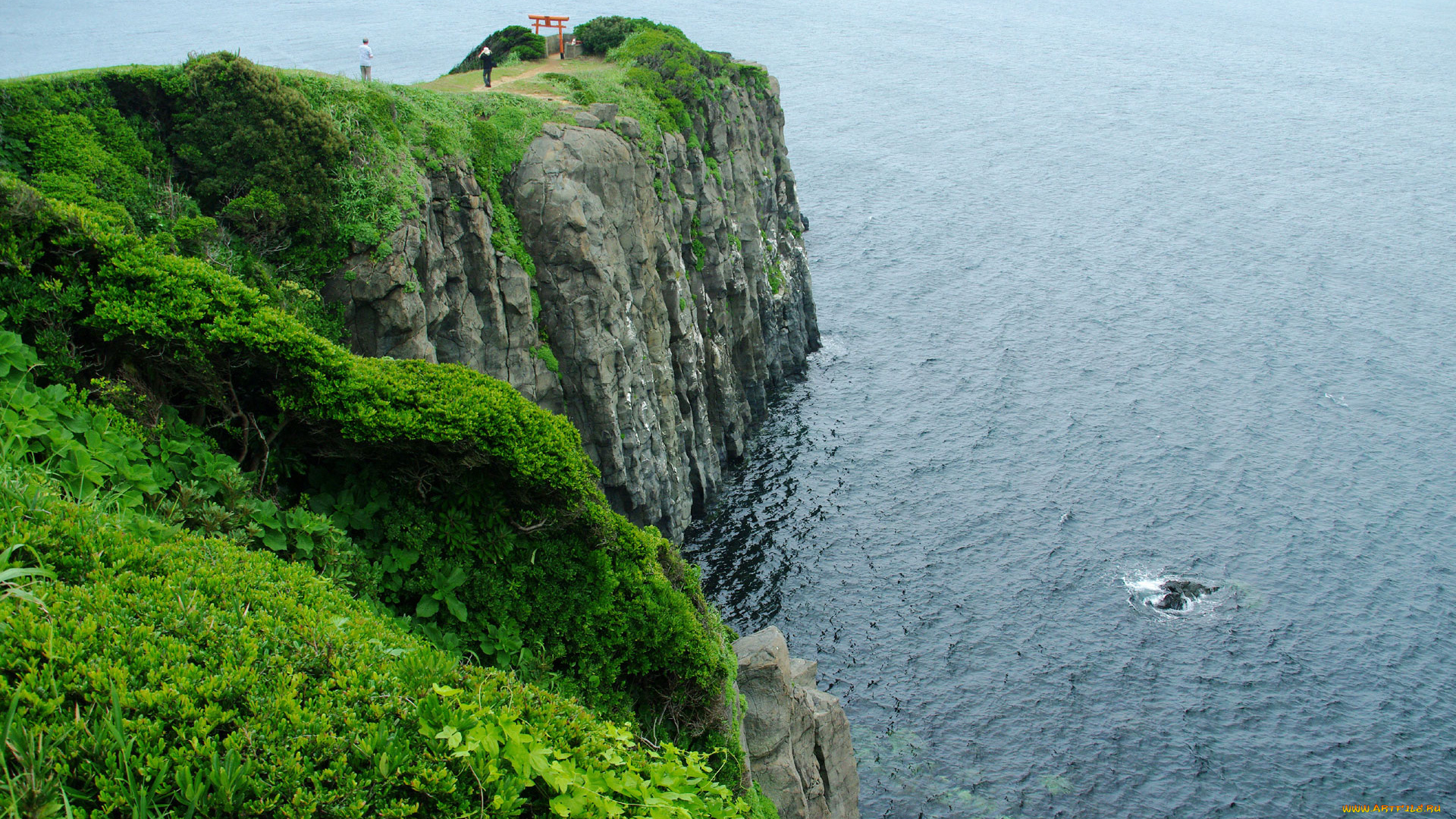 природа, побережье, море, скала