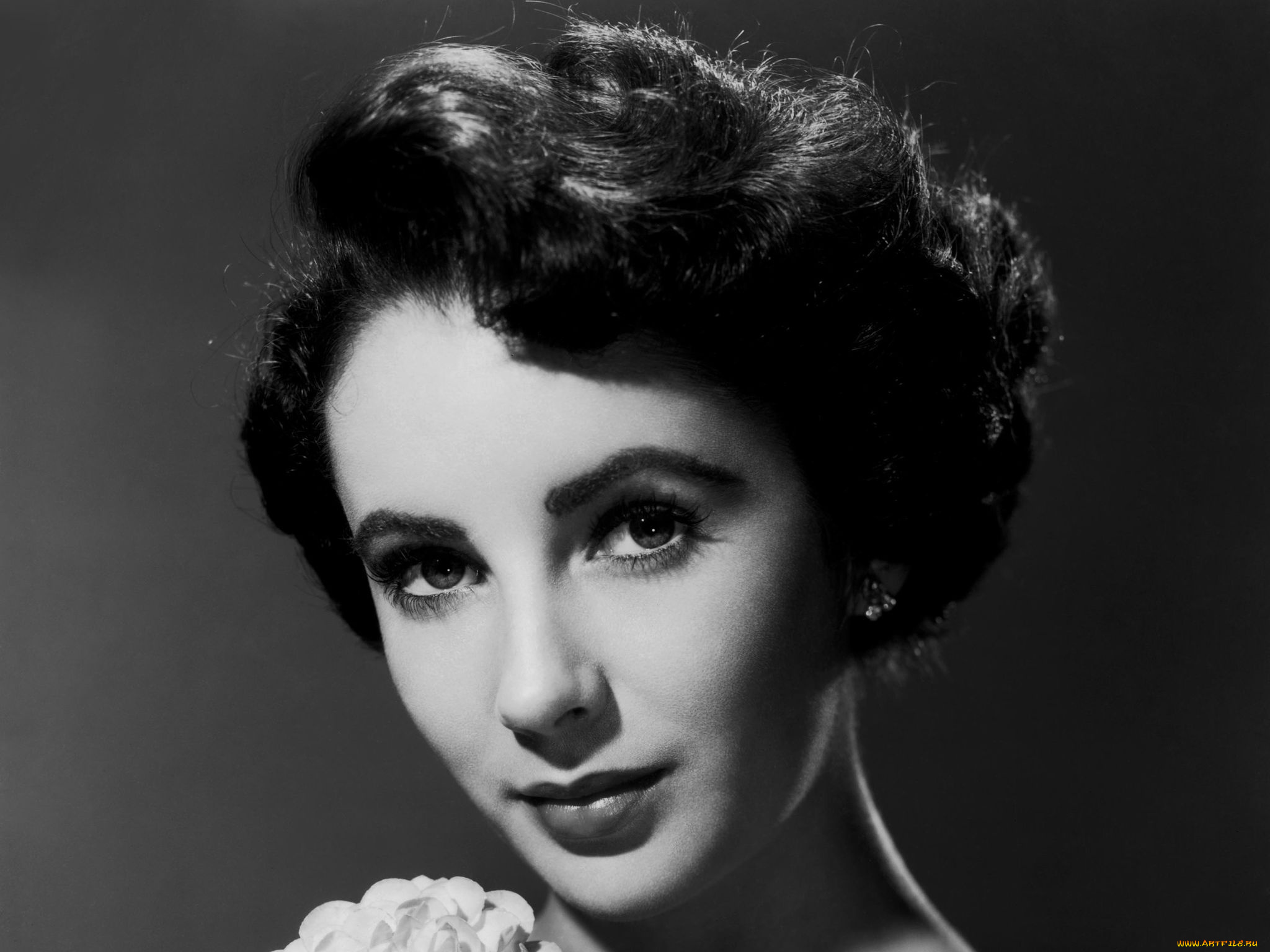 Elizabeth, Taylor, девушки