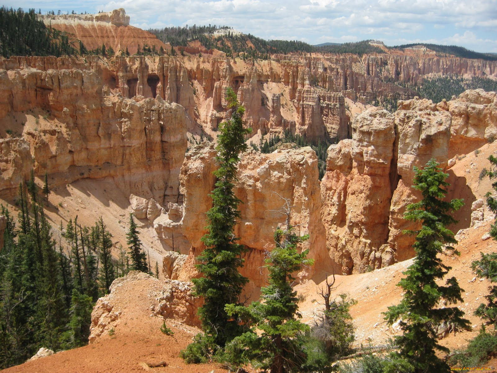 природа, горы, zion, national, park