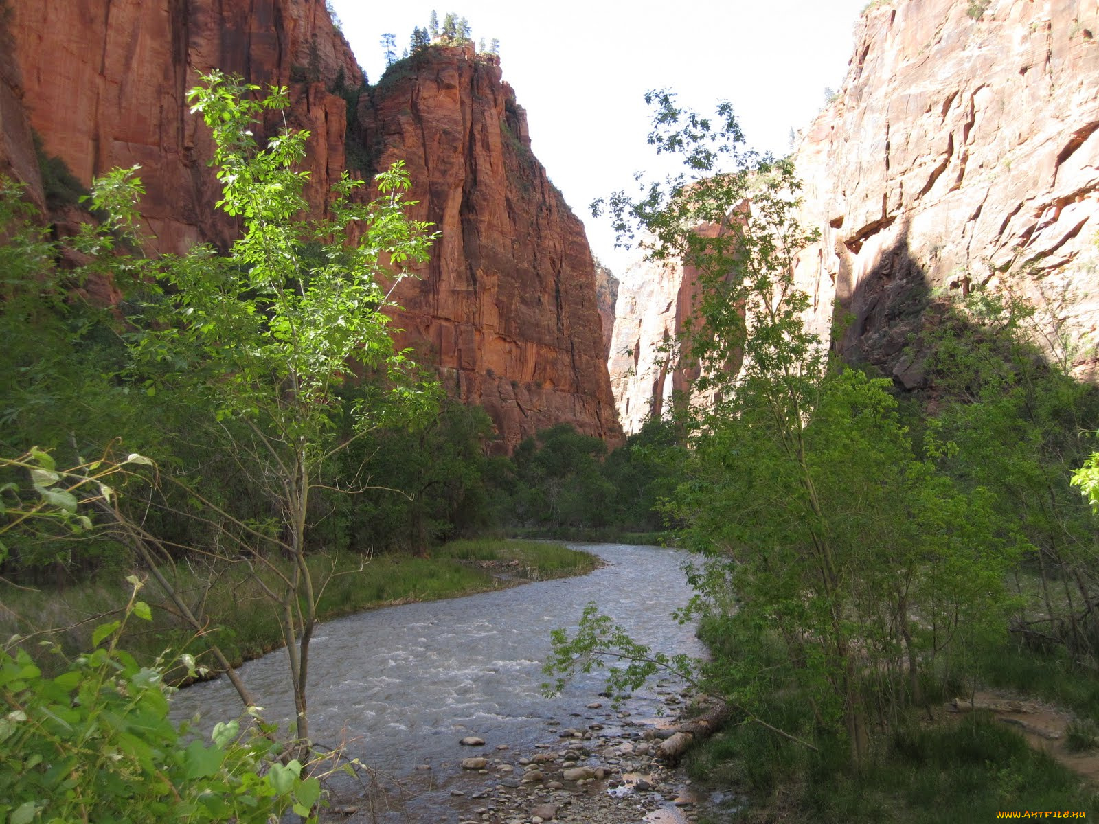 природа, реки, озера, national, park, zion