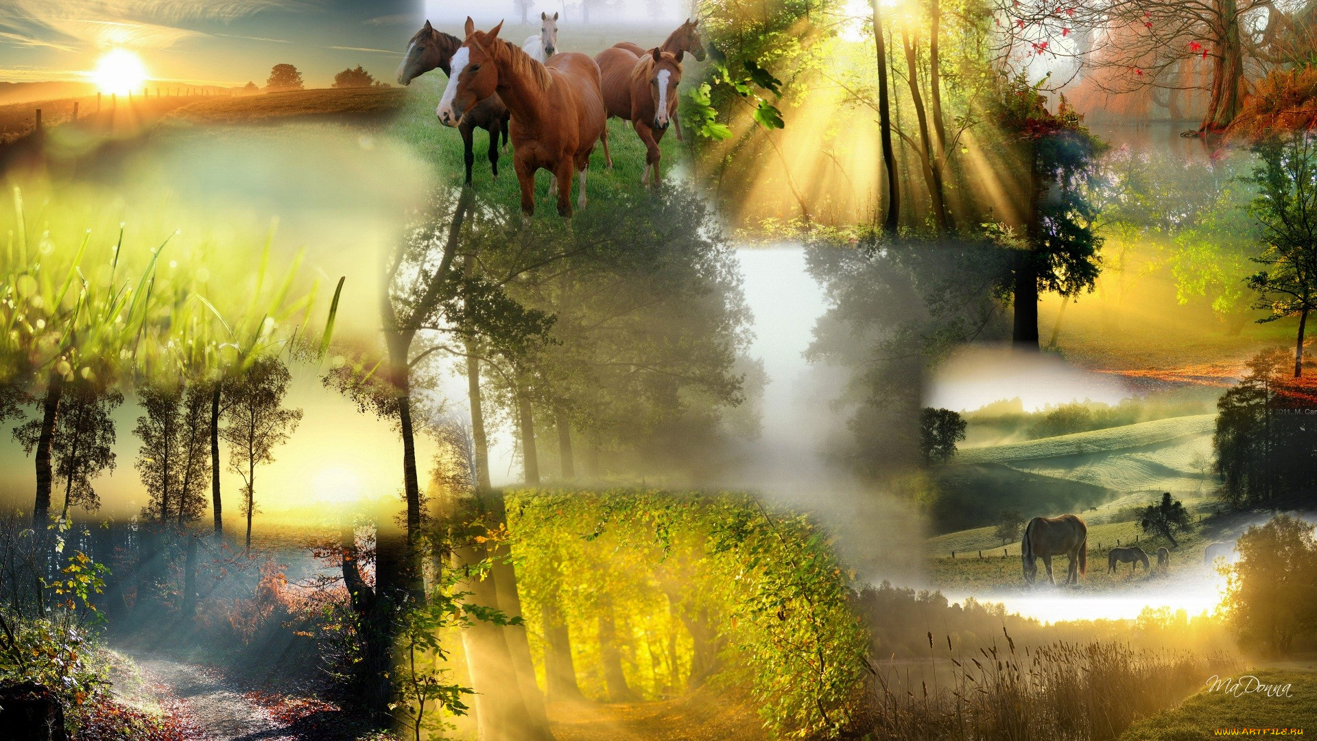 american, country, dawn, животные, лошади, природа, америка, пейзажи