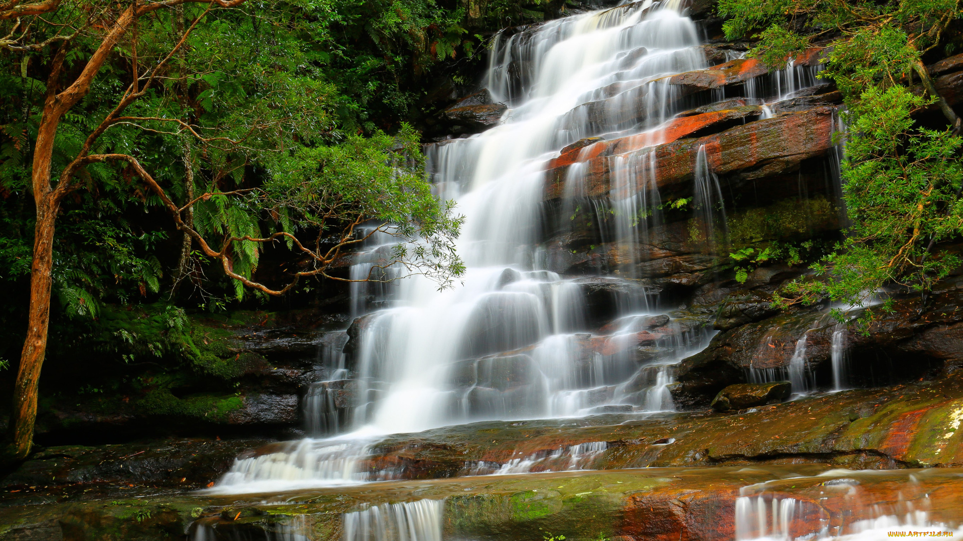 brisbane, waters, national, park, australia, природа, водопады, somersby, falls