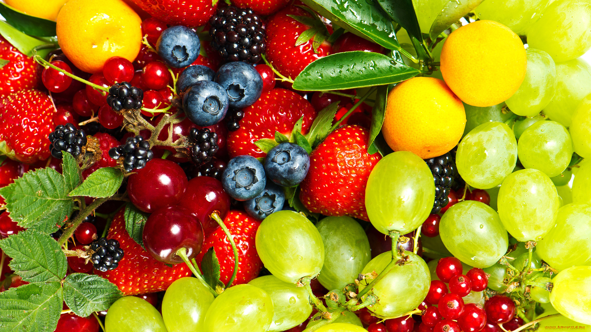 еда, фрукты, ягоды, ежевика, вишня, красная, смородина, голубика, мандарины, виноград, клубника