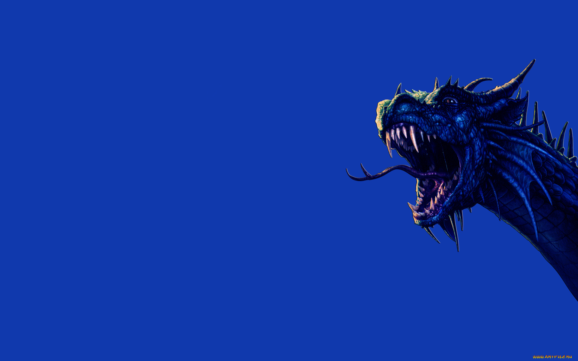 синий, дракон, 3д, графика, creatures, существа, язык, зубы, dragon