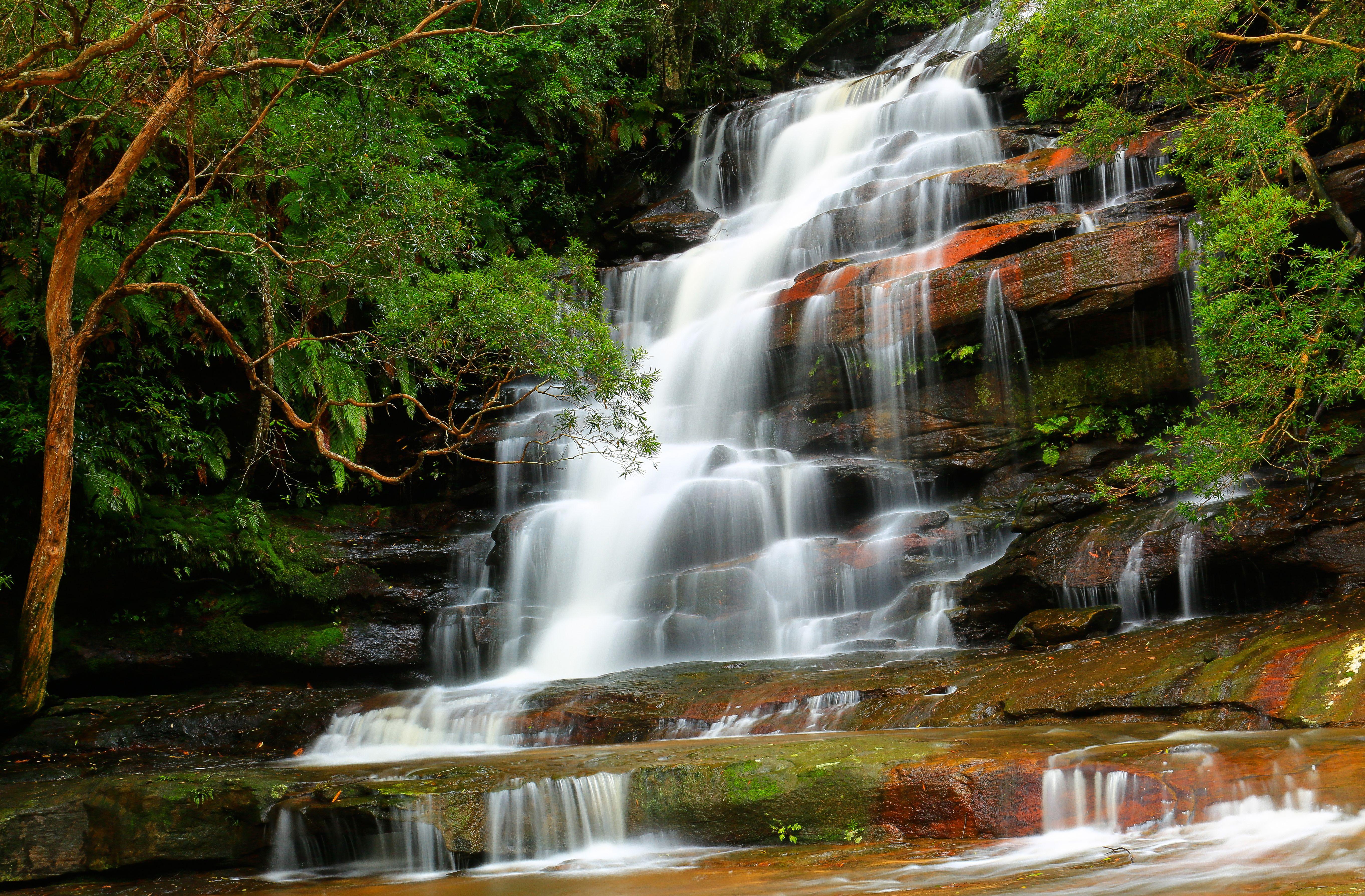 brisbane, waters, national, park, australia, природа, водопады, somersby, falls