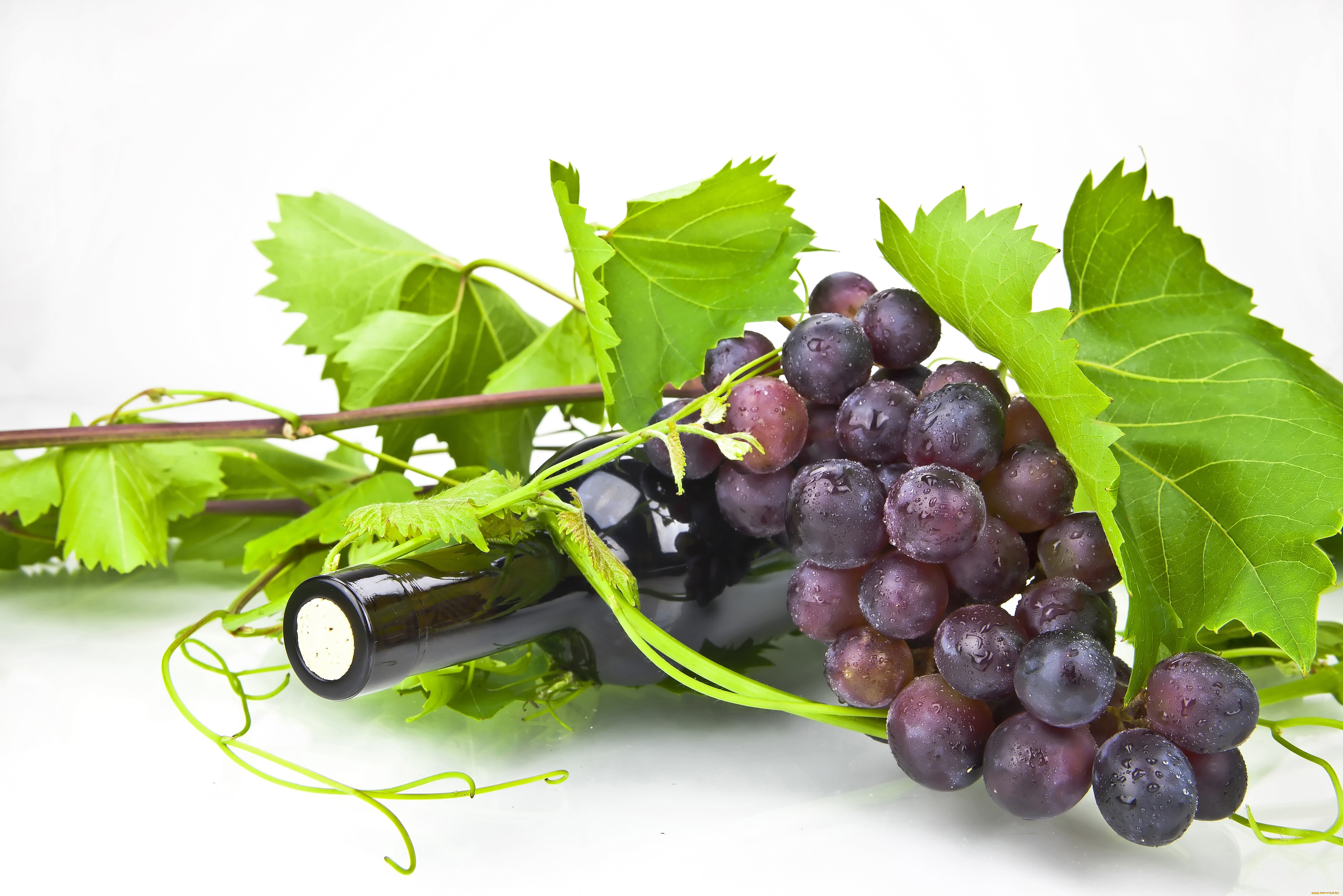 еда, виноград, фрукты, вино
