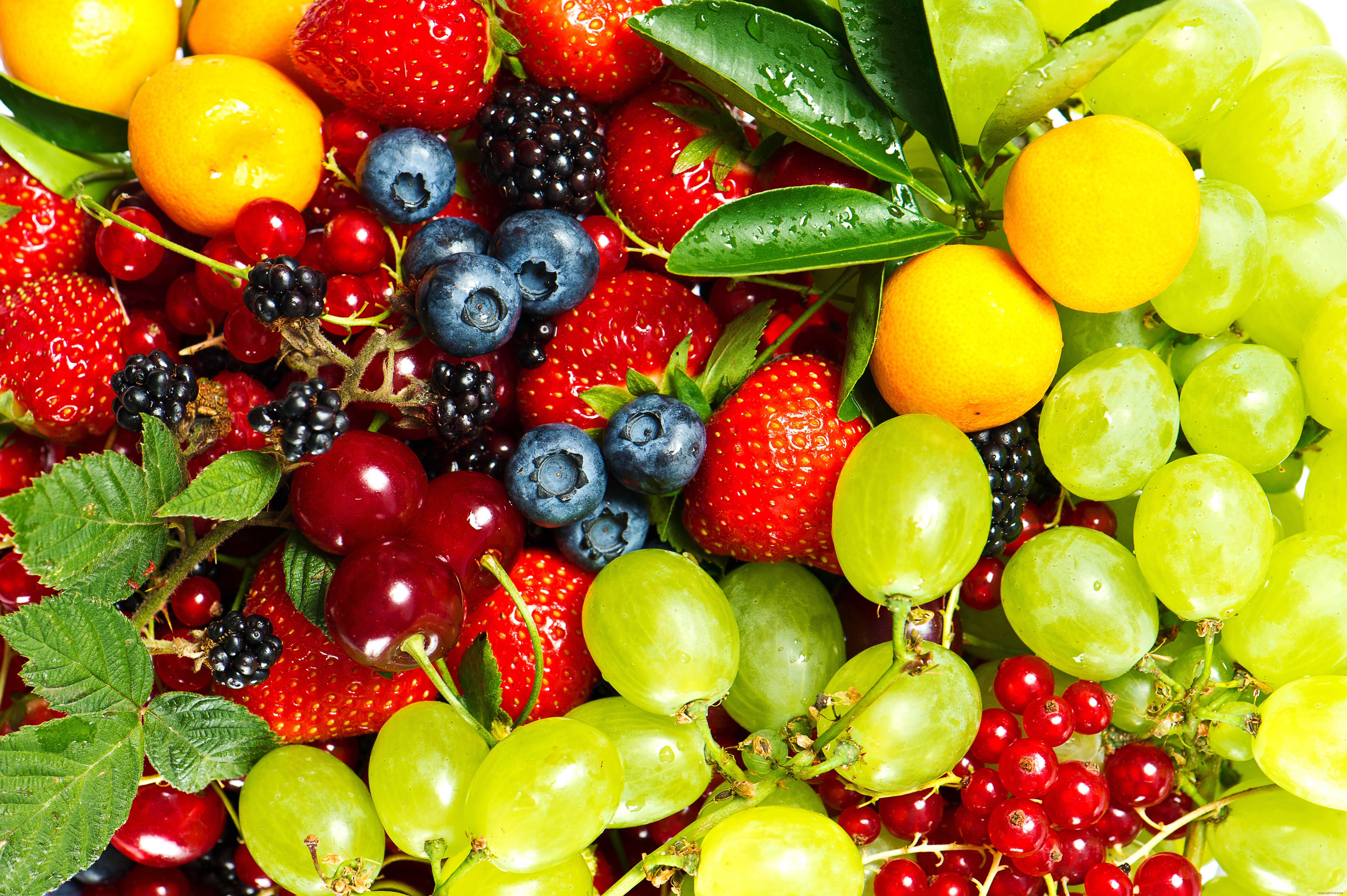 еда, фрукты, ягоды, ежевика, вишня, красная, смородина, голубика, мандарины, виноград, клубника