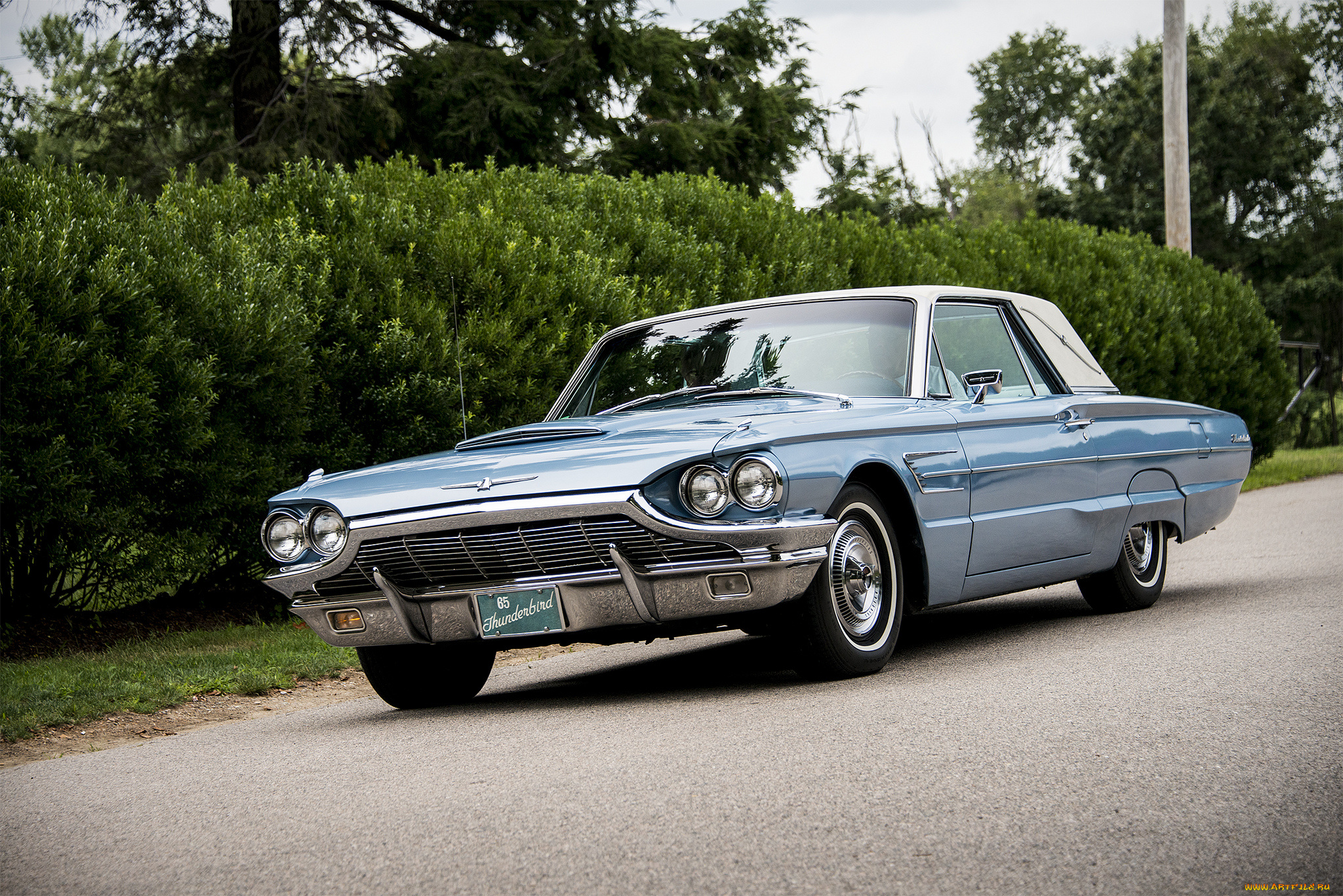 ford, thunderbird, , 1965, автомобили, ford, автопробег, выставка, автошоу