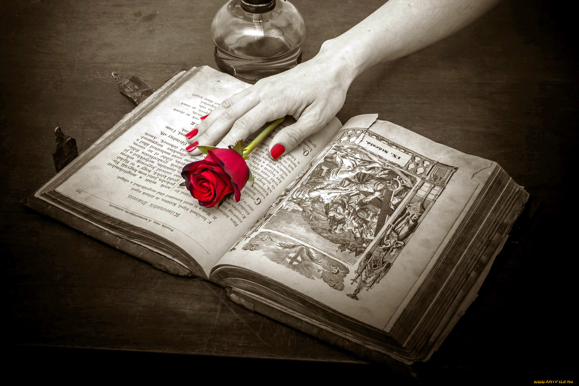 разное, руки, роза, книга, лампа
