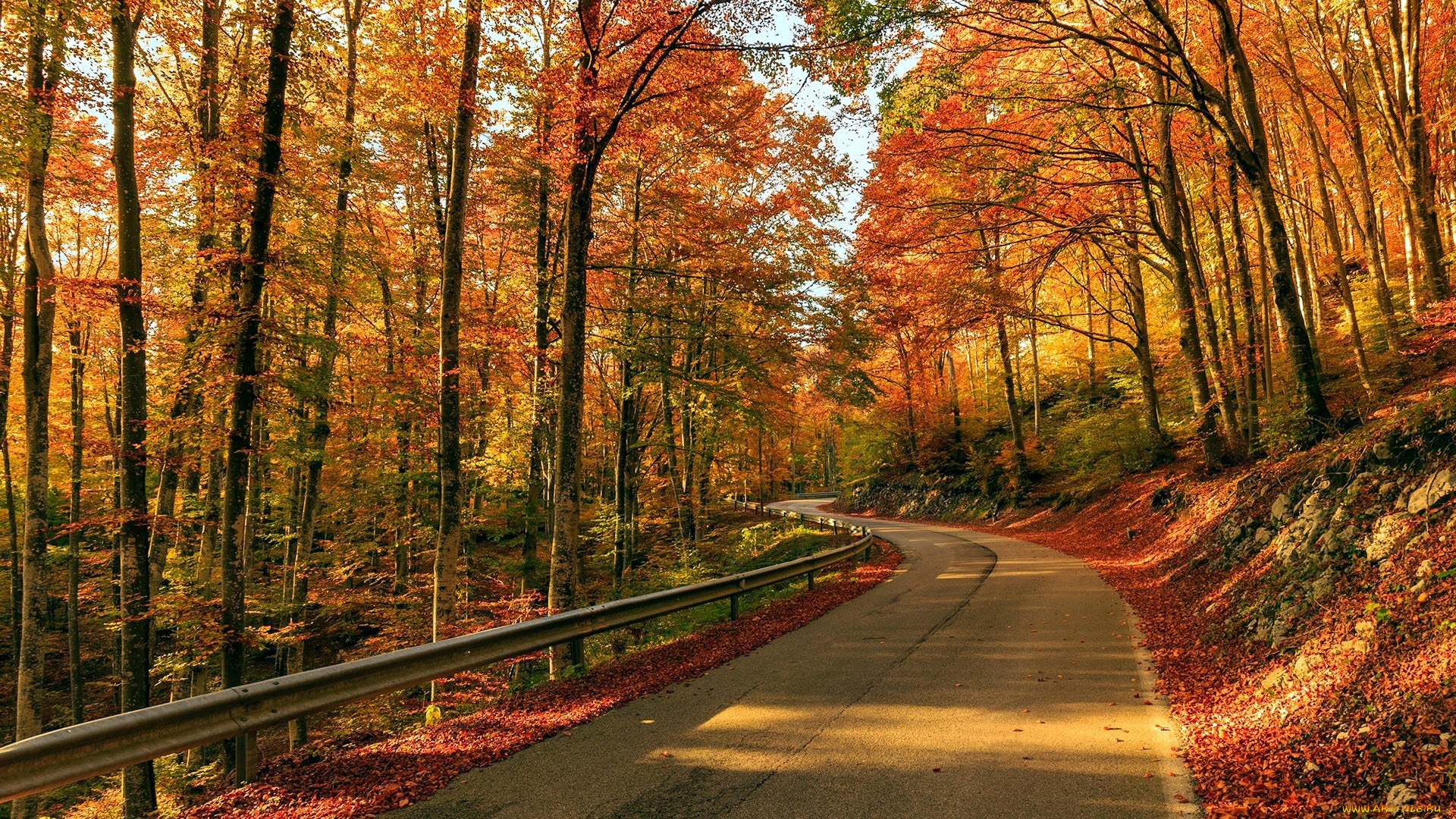 природа, дороги, осень, шоссе, дорога, поворот, листья, листопад
