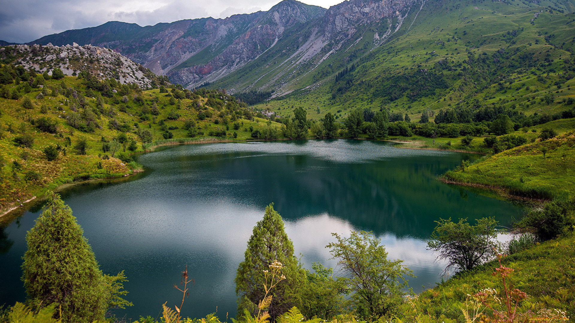 природа, реки, озера, озеро