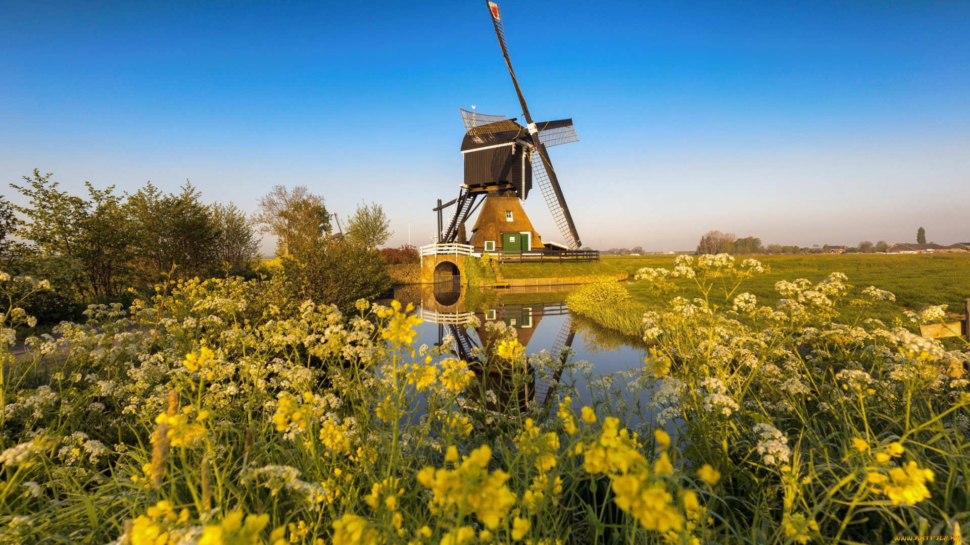 netherland, разное, мельницы