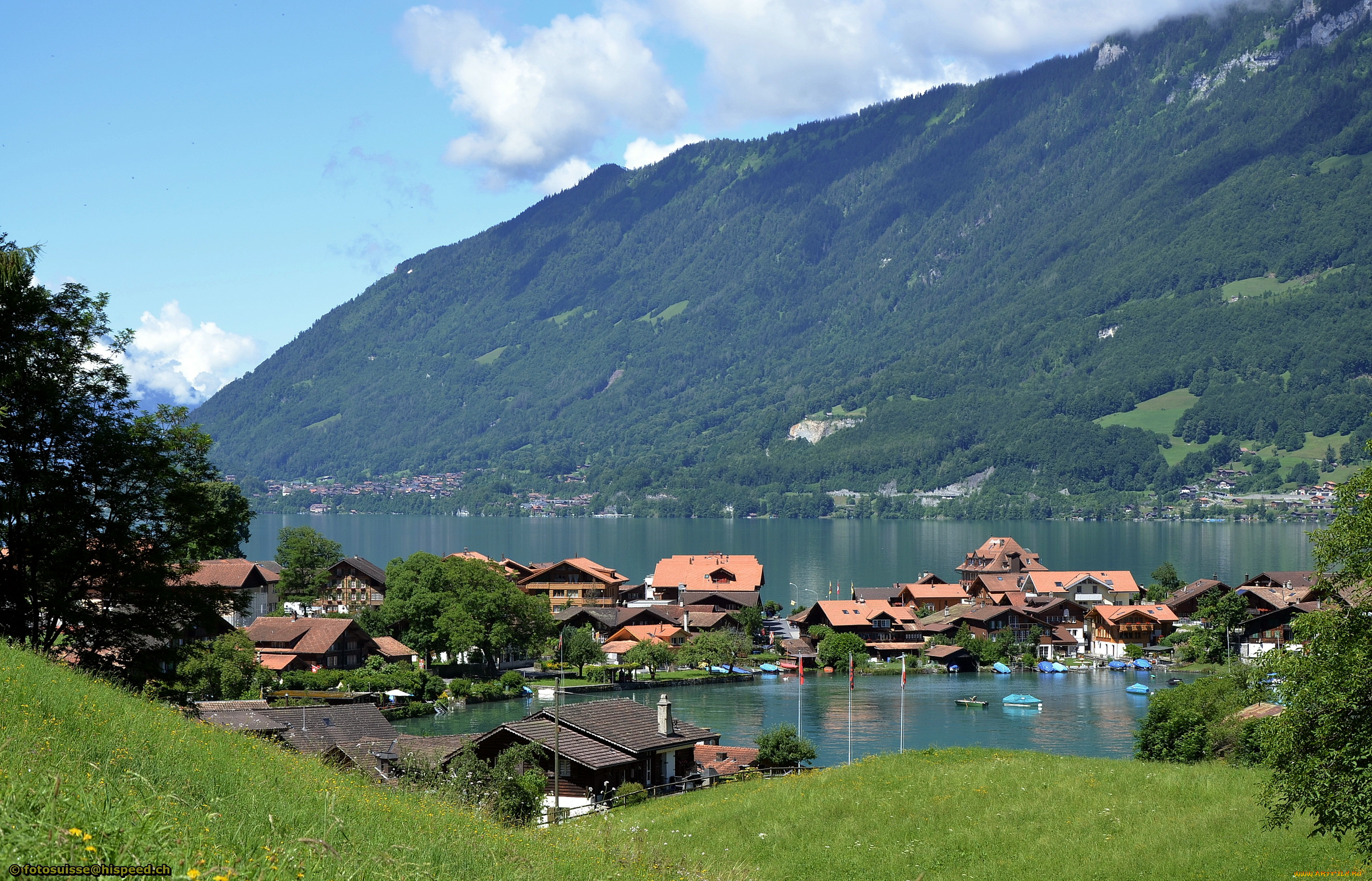 швейцария, iseltwald, on, lake, brienz, города, пейзажи