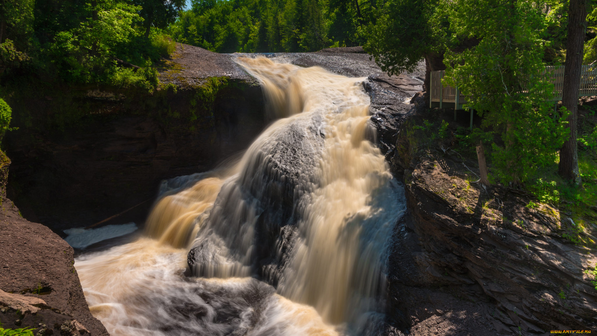 природа, водопады, лес, река, водопад