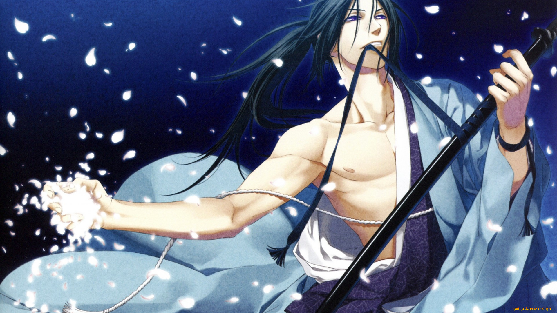 аниме, hakuouki, hakuoki