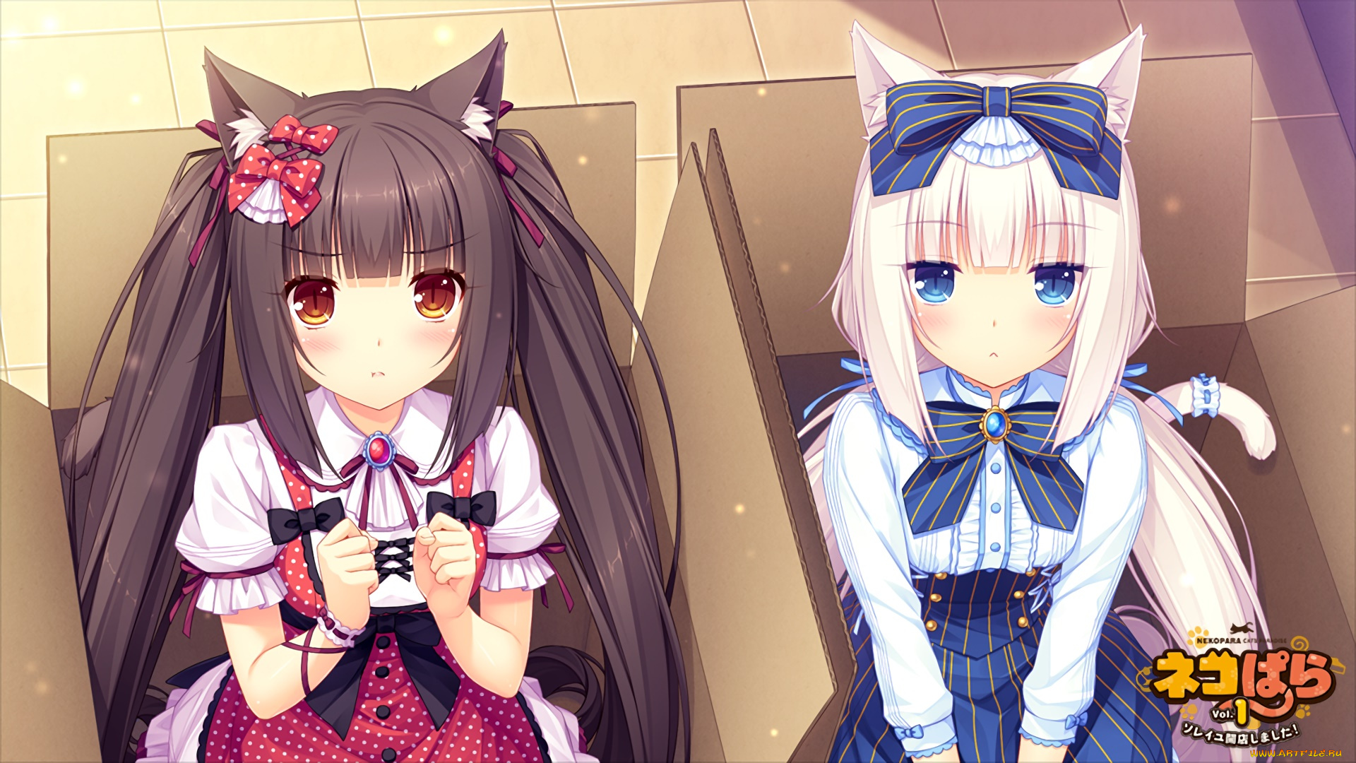 аниме, nekopara, девушки, взгляд, фон