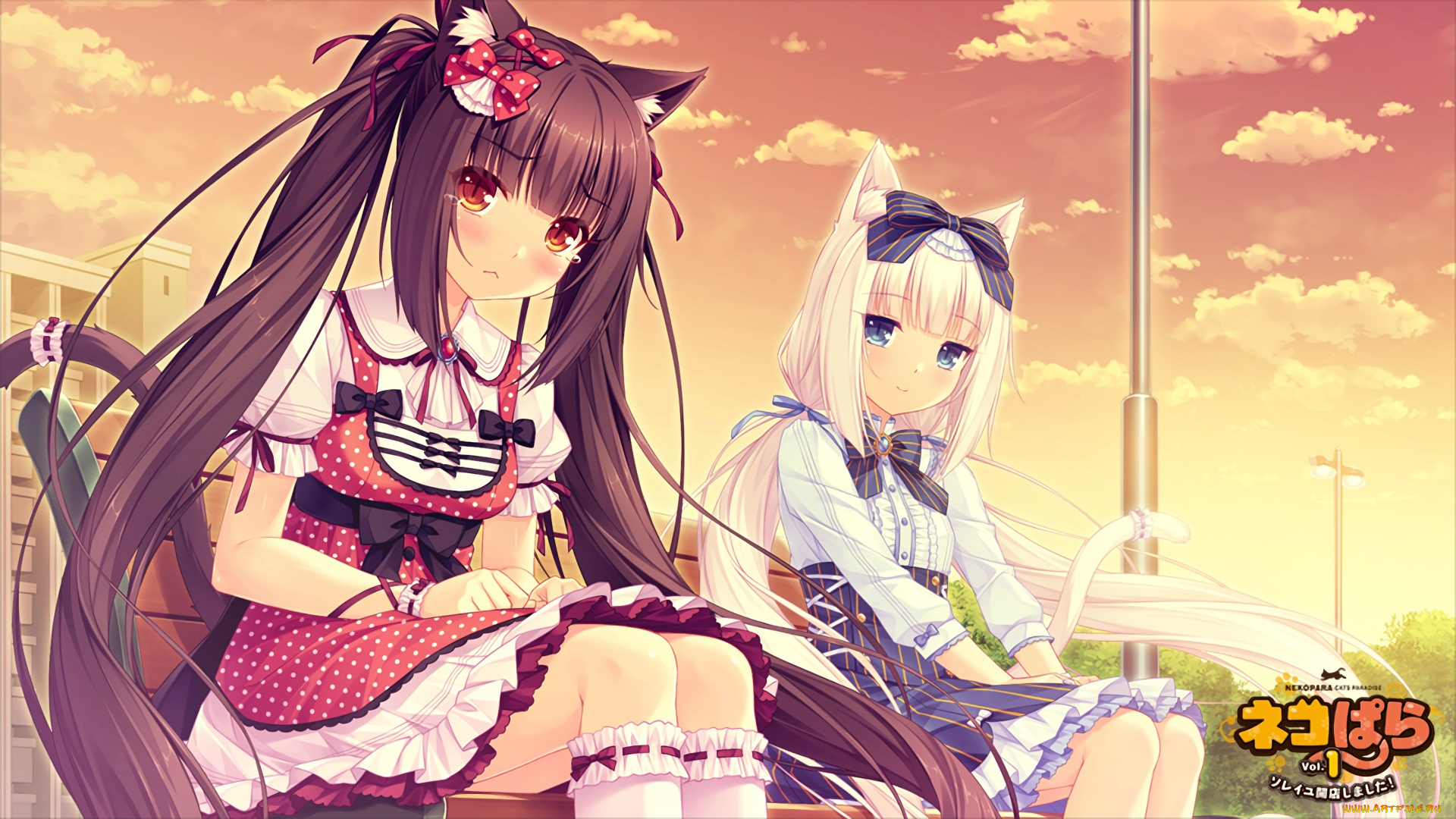 аниме, nekopara, взгляд, девушки, фон