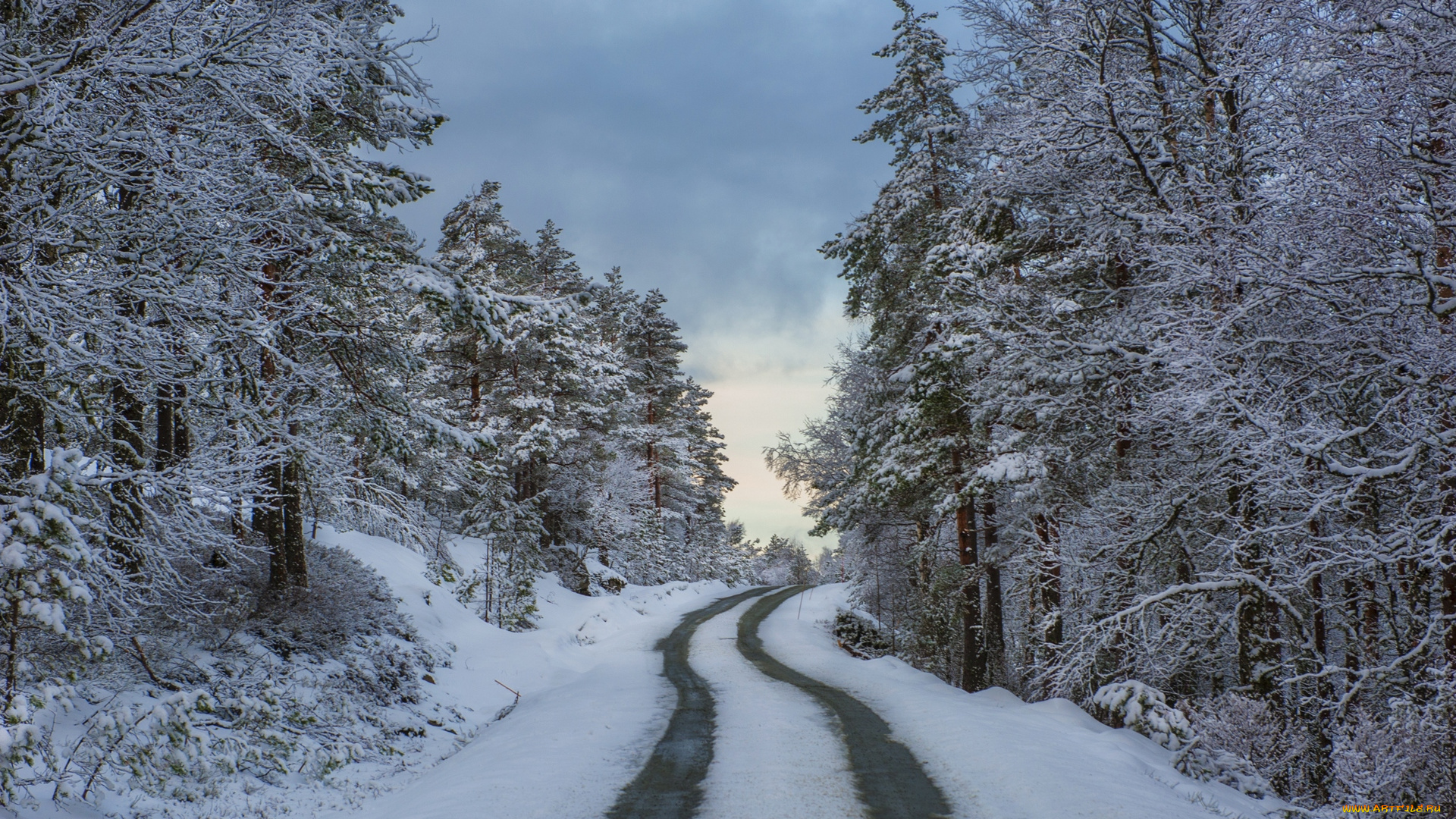 норвегия, природа, зима, колея, деревья, снег