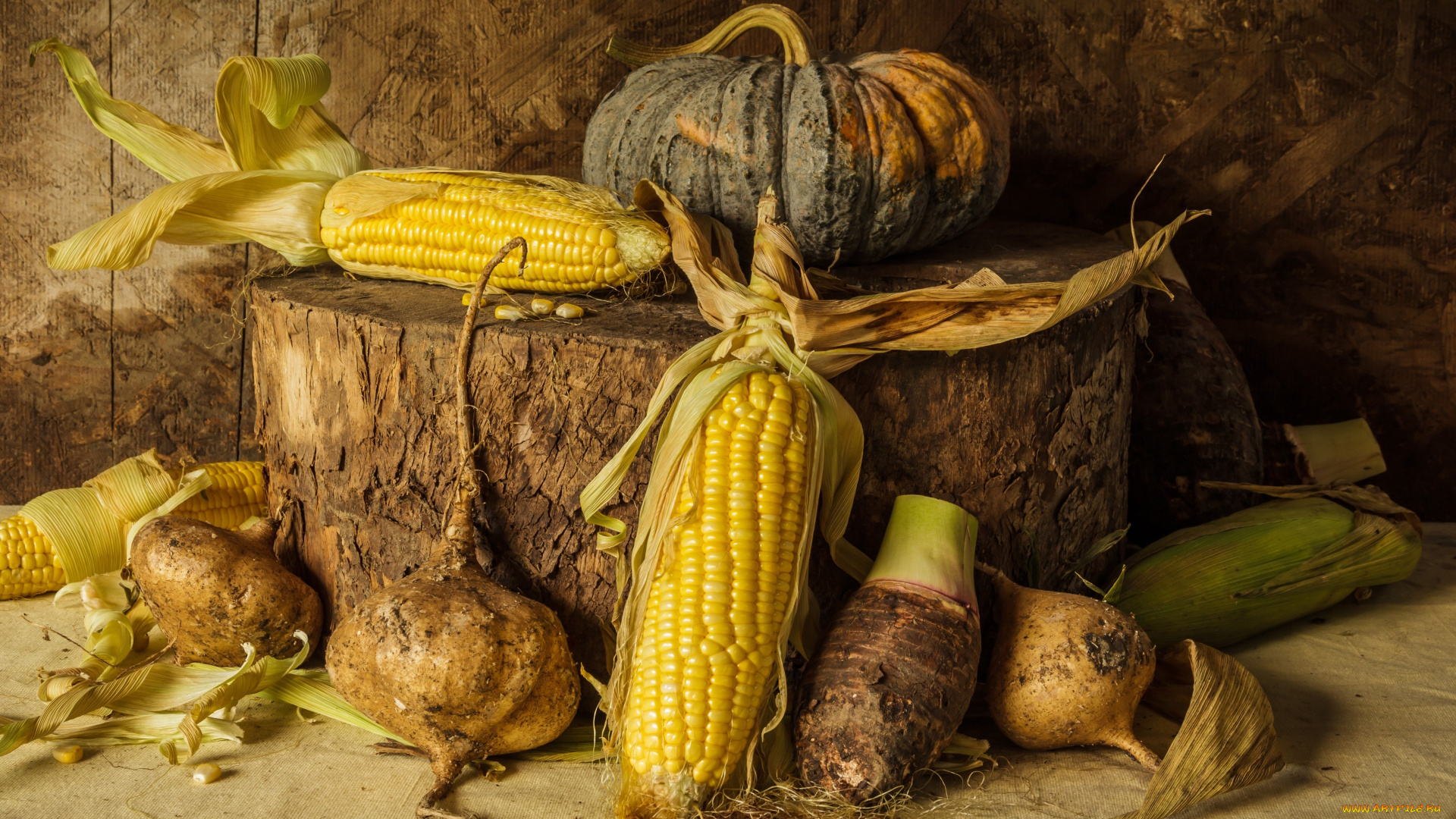 еда, натюрморт, still, life, corn, pumpkin, овощи, тыква, урожай, кукуруза, autumn, harvest, vegetables