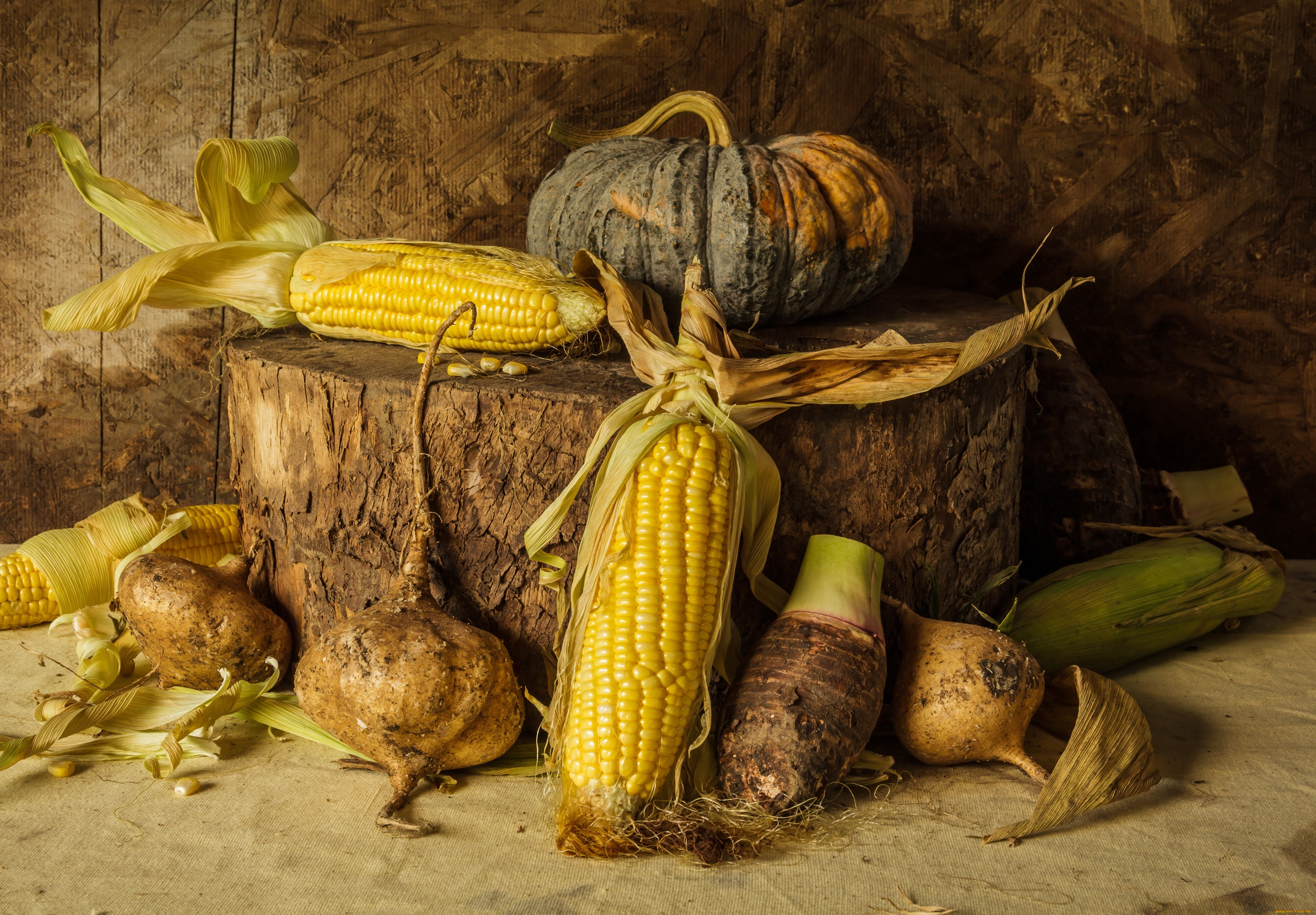 еда, натюрморт, still, life, corn, pumpkin, овощи, тыква, урожай, кукуруза, autumn, harvest, vegetables