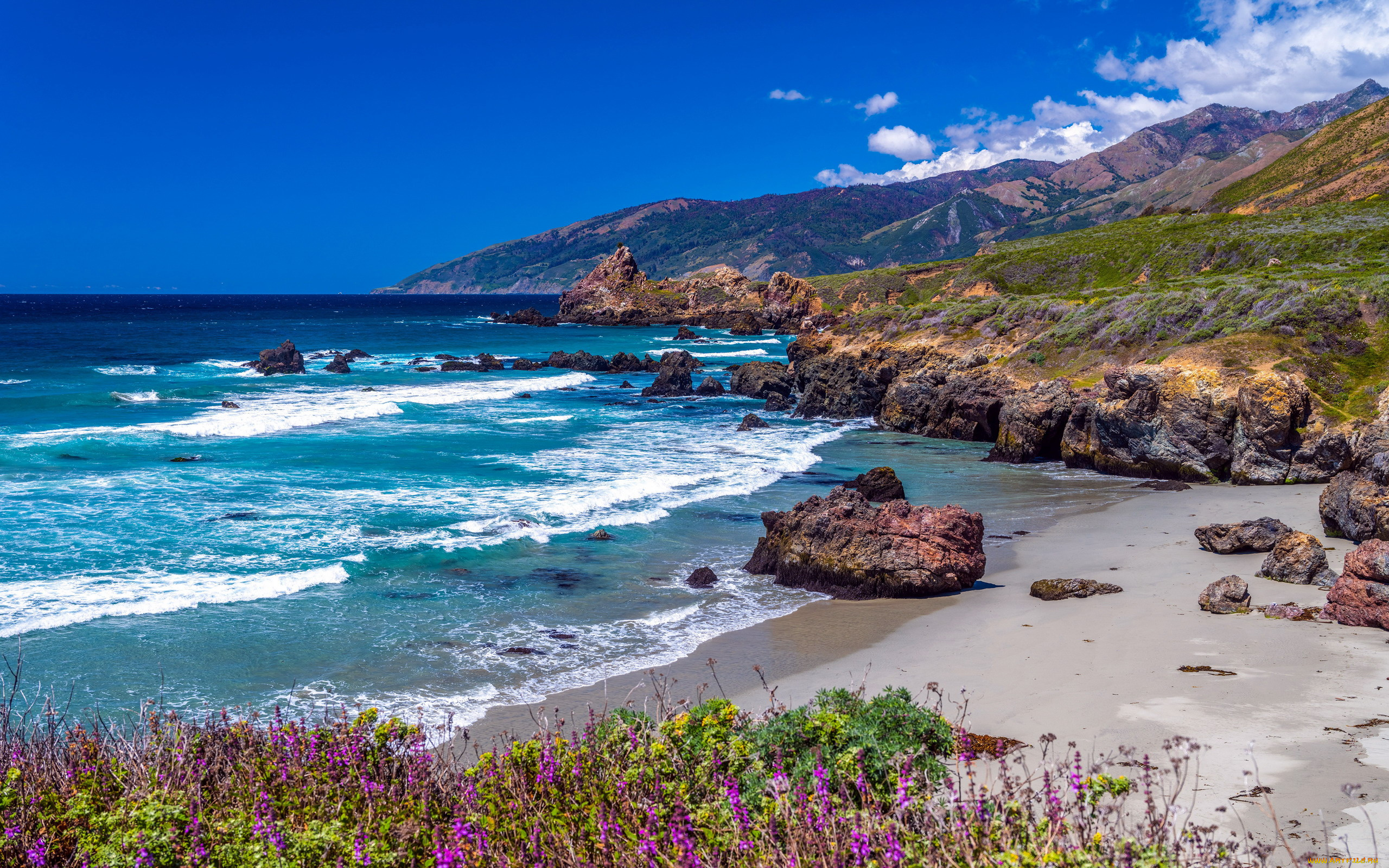 california, coast, природа, побережье, california, coast