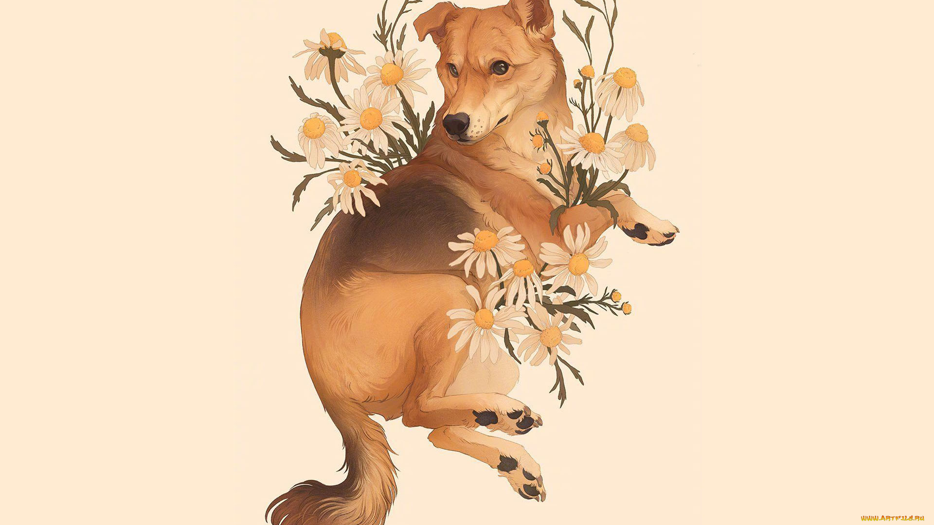 рисованное, животные, , собаки, собака, цветы, ромашки