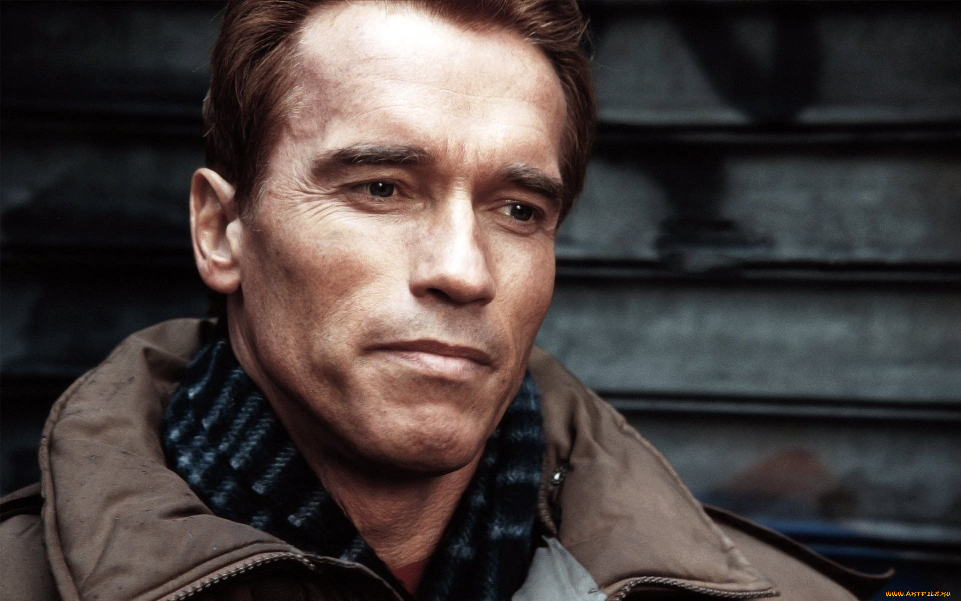 мужчины, arnold, schwarzenegger, актер, лицо, шарф, куртка