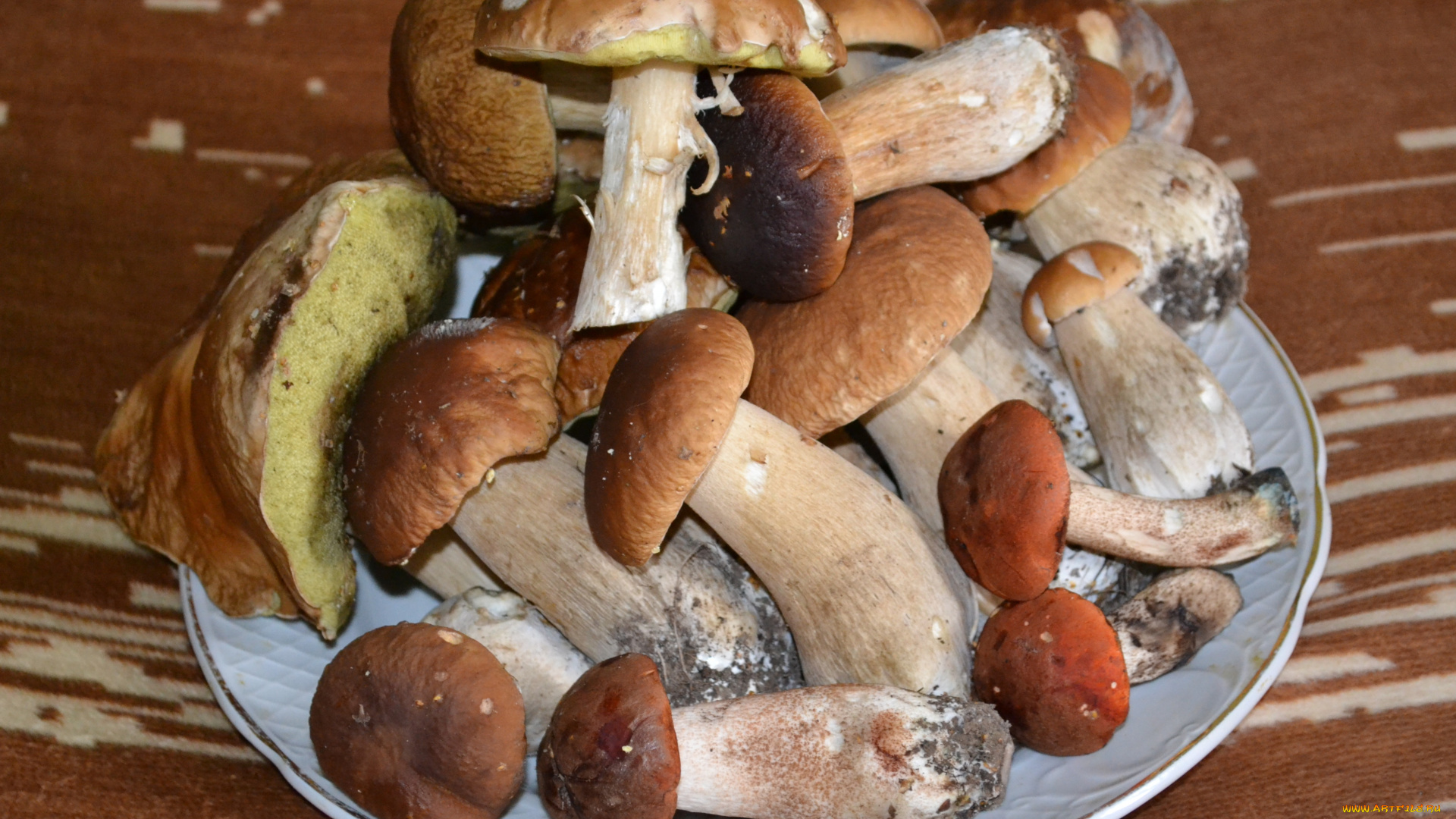 еда, грибы, грибные, блюда, подосиновики, блюдо, боровики
