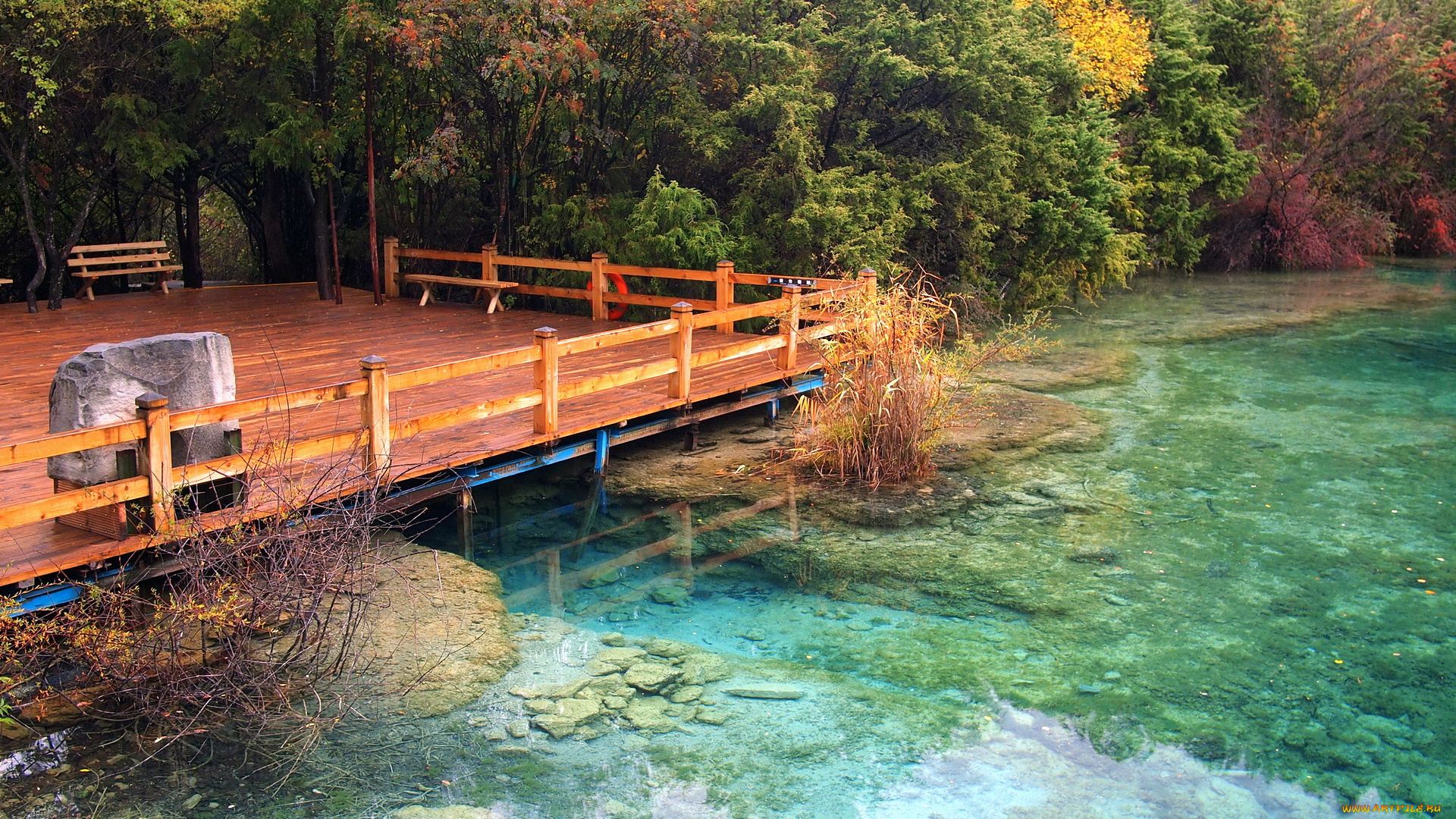 китай, jiuzhaigou, valley, sparking, lake, природа, реки, озера, озеро, тропики