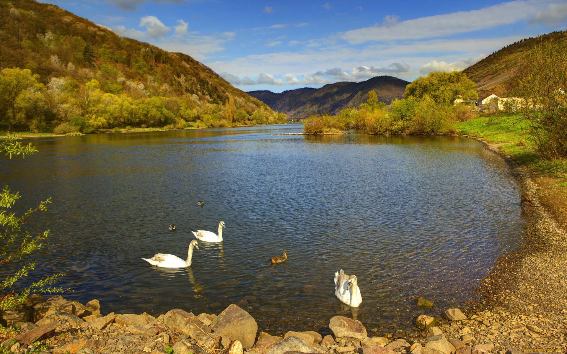 германия, эдигер, эллер, природа, реки, озера, река, утки