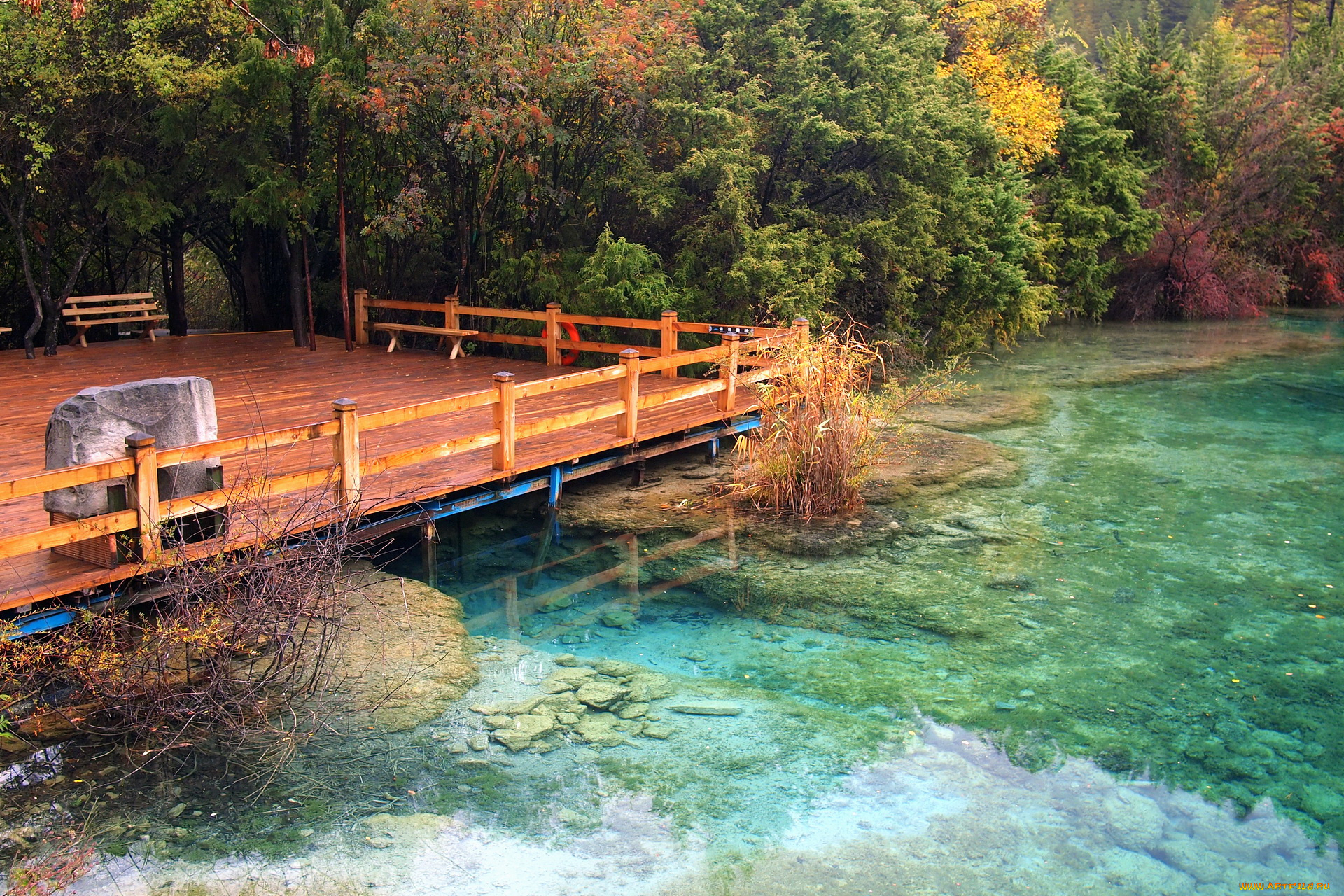 китай, jiuzhaigou, valley, sparking, lake, природа, реки, озера, озеро, тропики