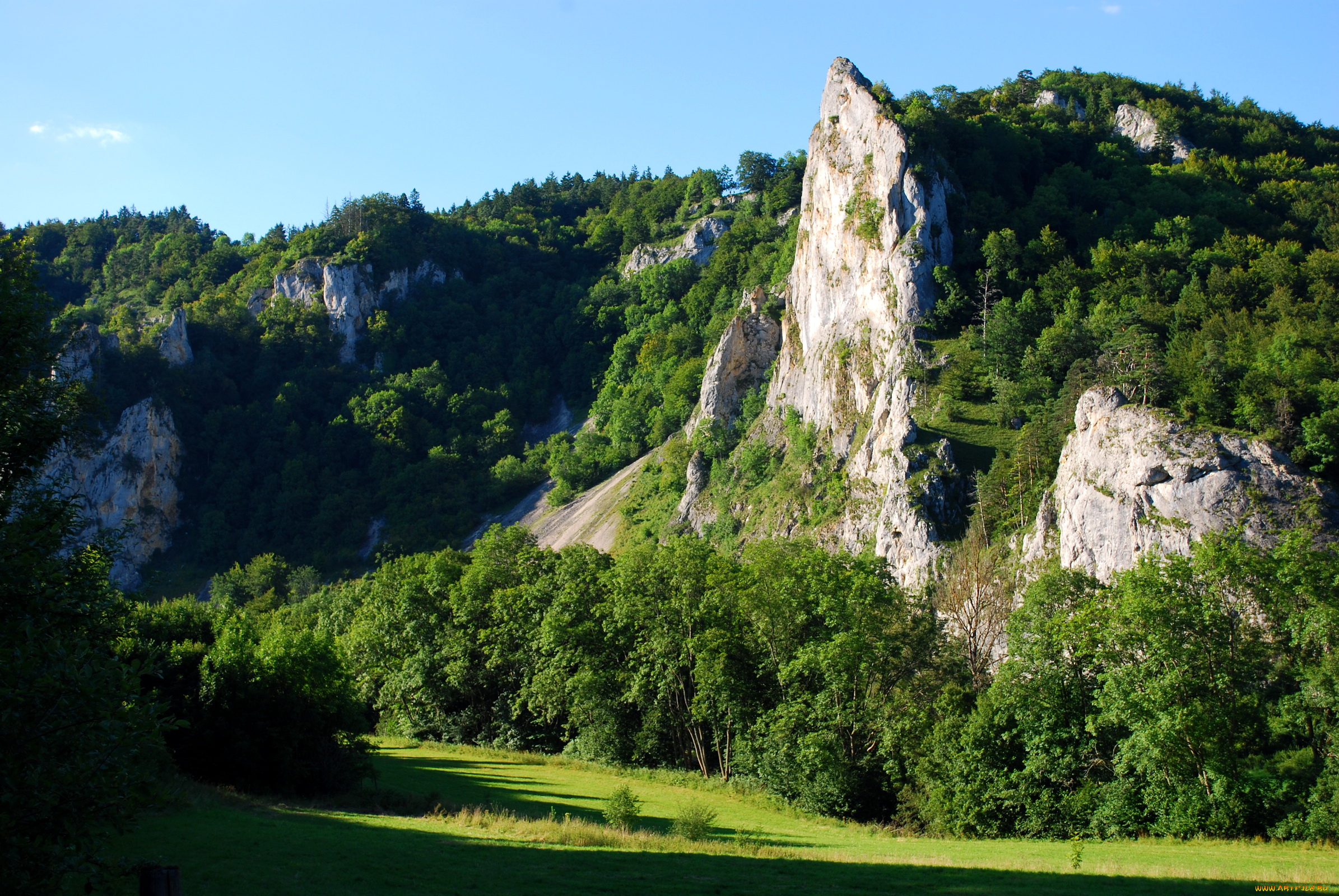 rock, stiegelesfels, германия, природа, горы, гора